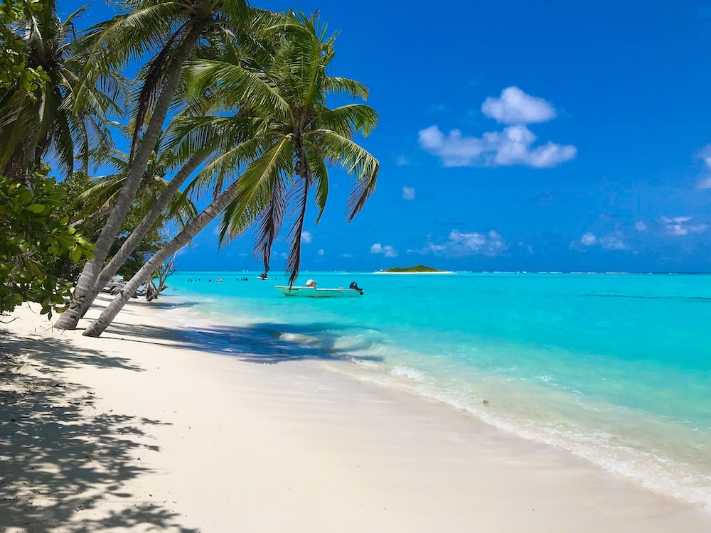 Tropical Beach Wallpapers