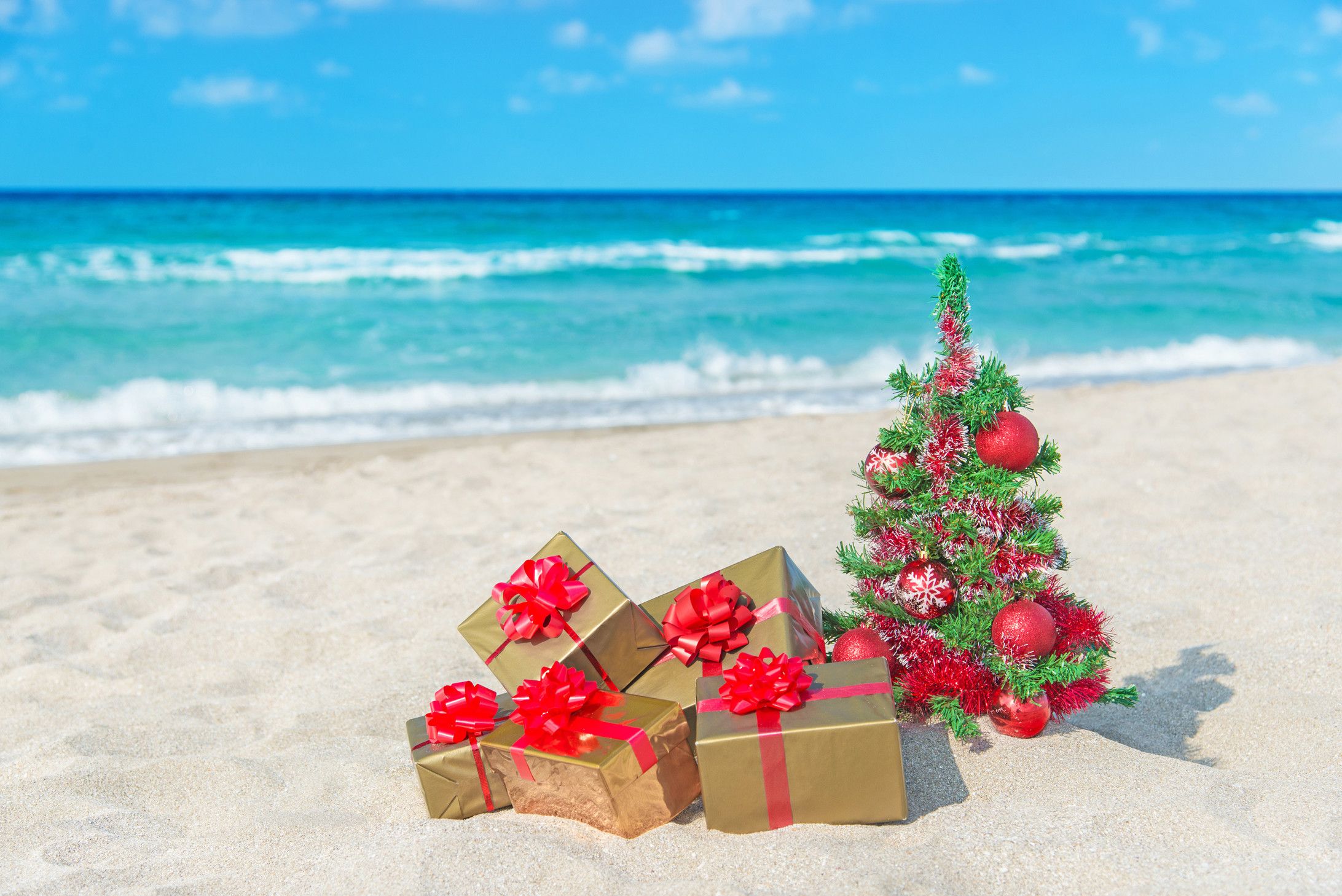 Tropical Christmas Wallpapers