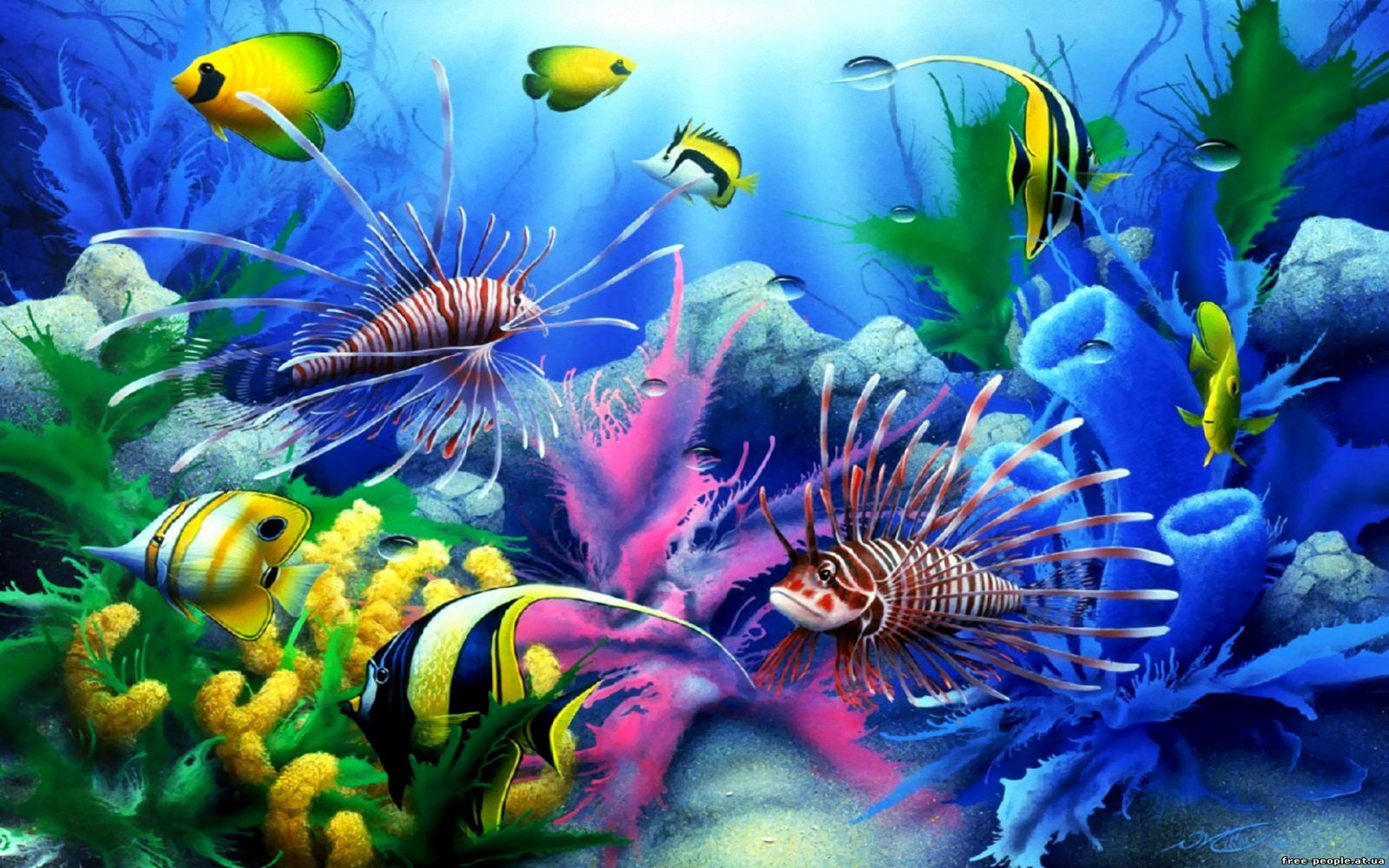 Tropical Fishes Wallpapers