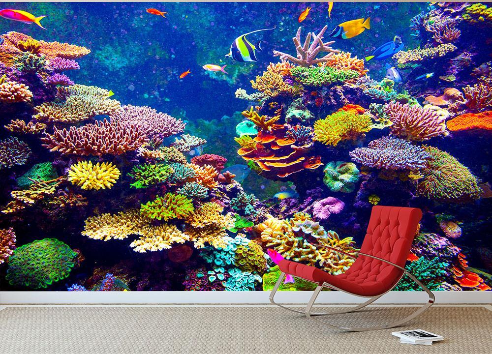 Tropical Fishes Wallpapers