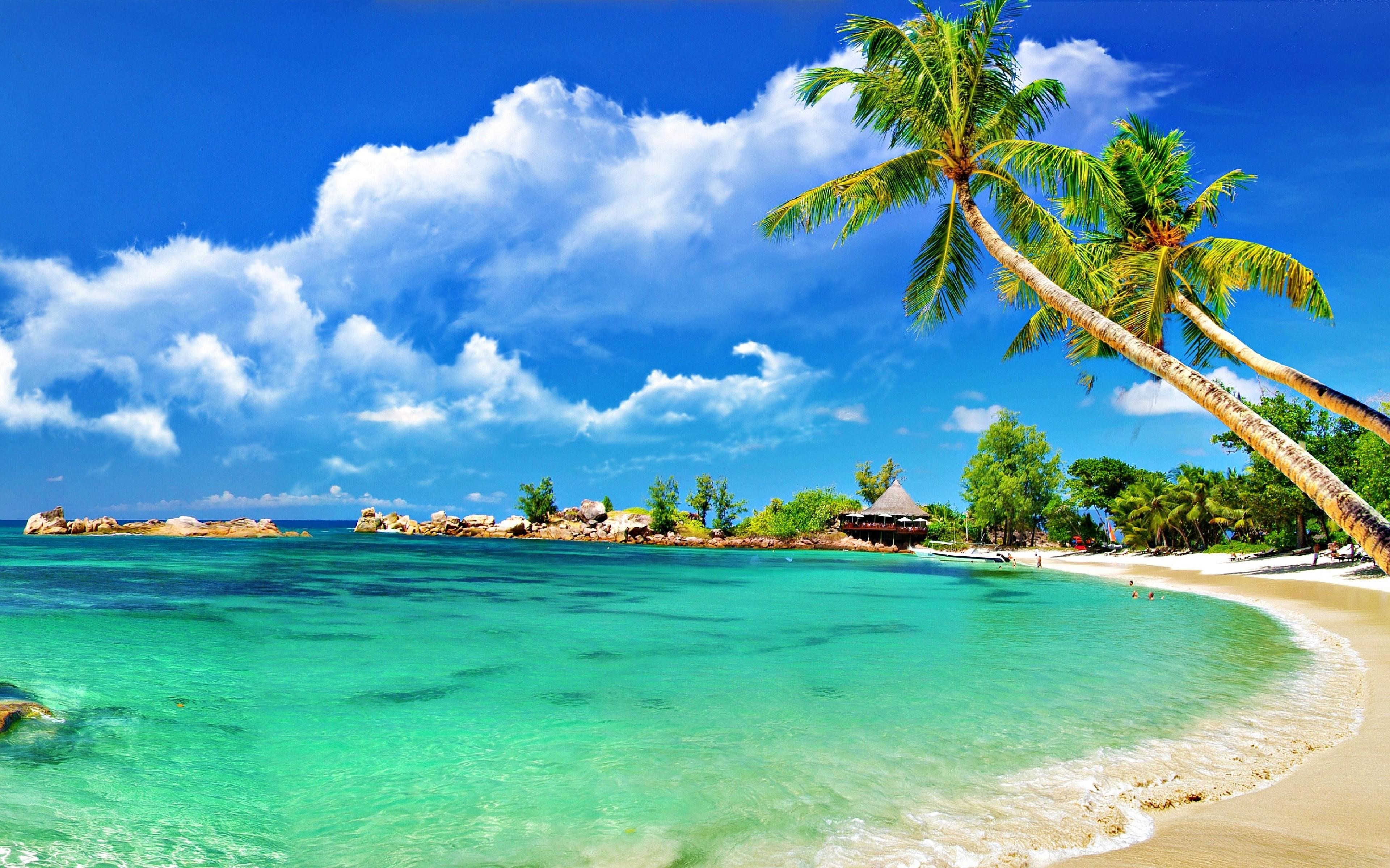 Tropical Island Hd Wallpapers