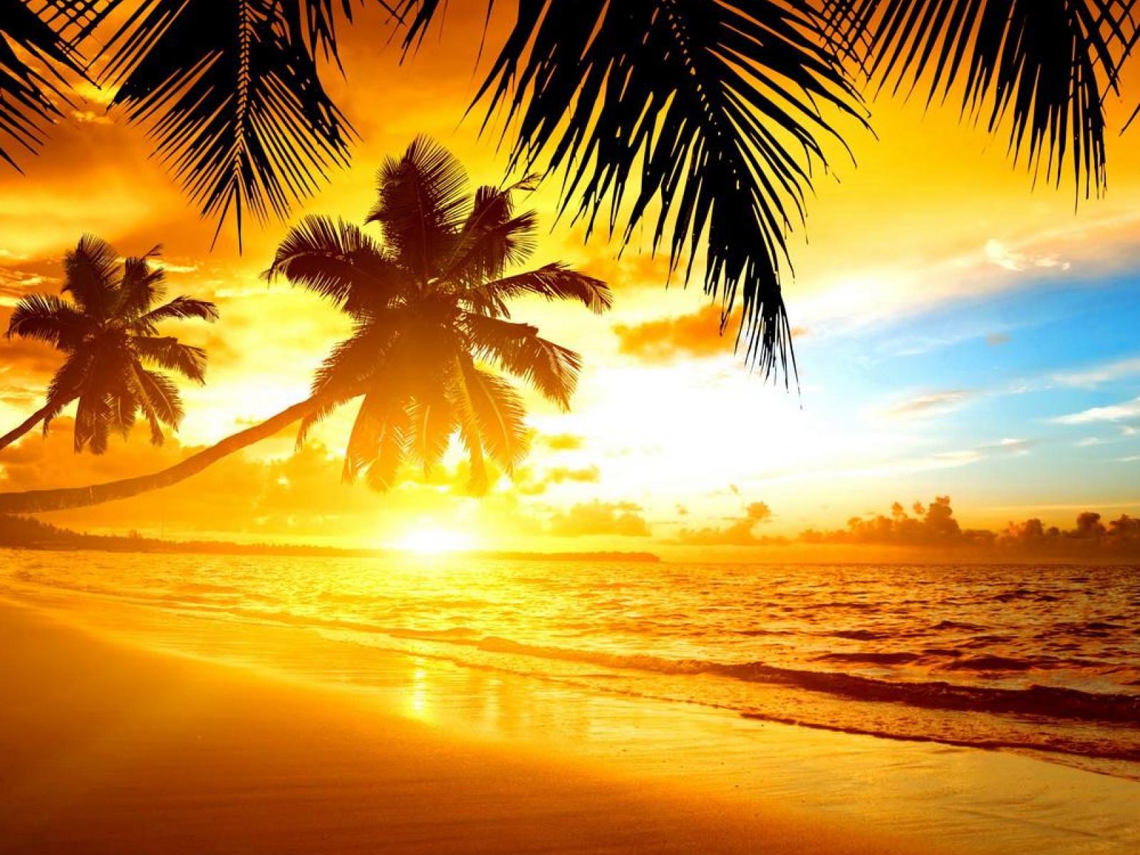 Tropical Island Hd Wallpapers