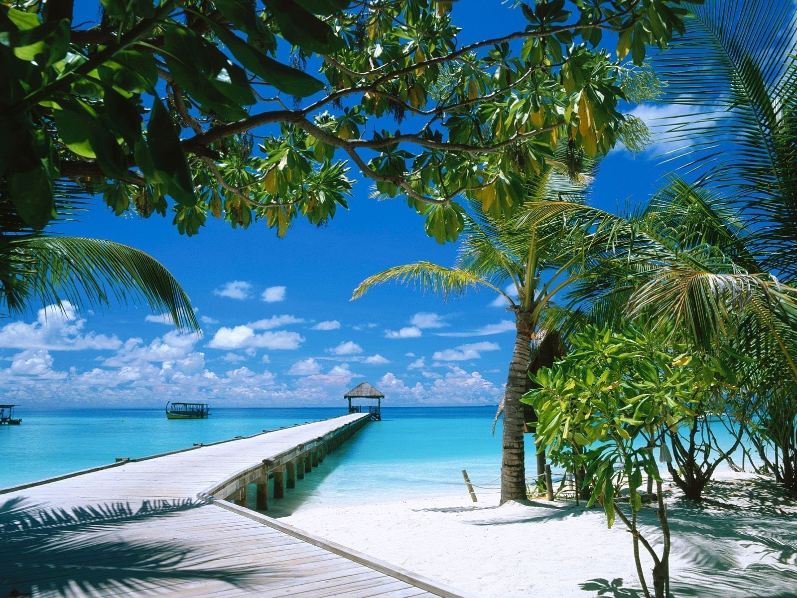 Tropical Island Hd Wallpapers