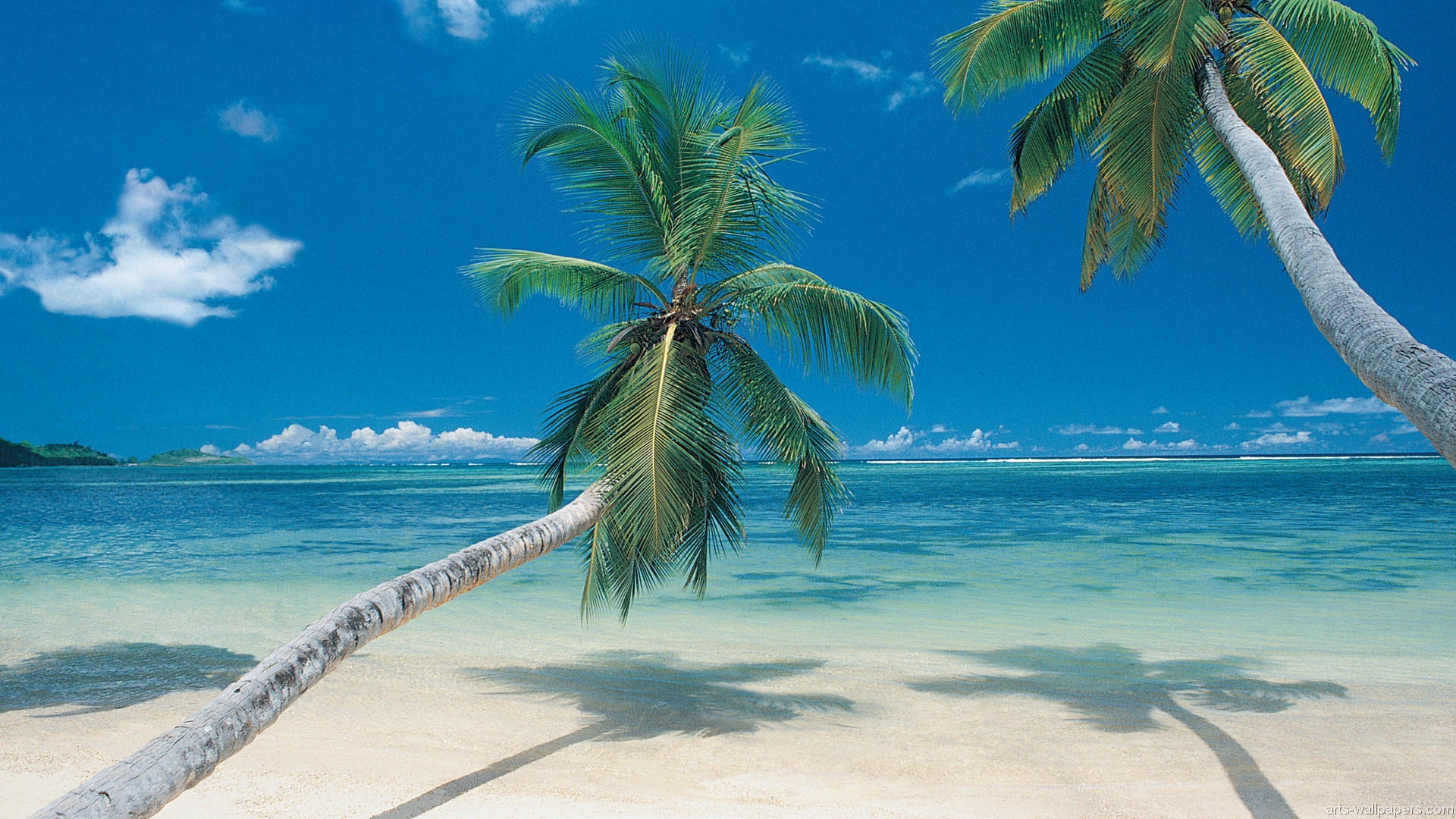 Tropical Island Hd Wallpapers