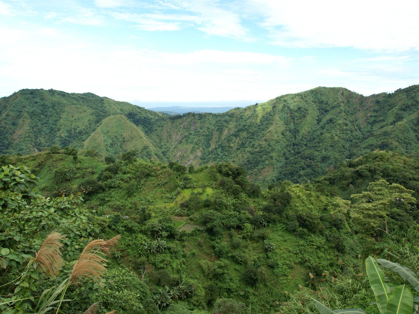 Tropical Mountains Wallpapers