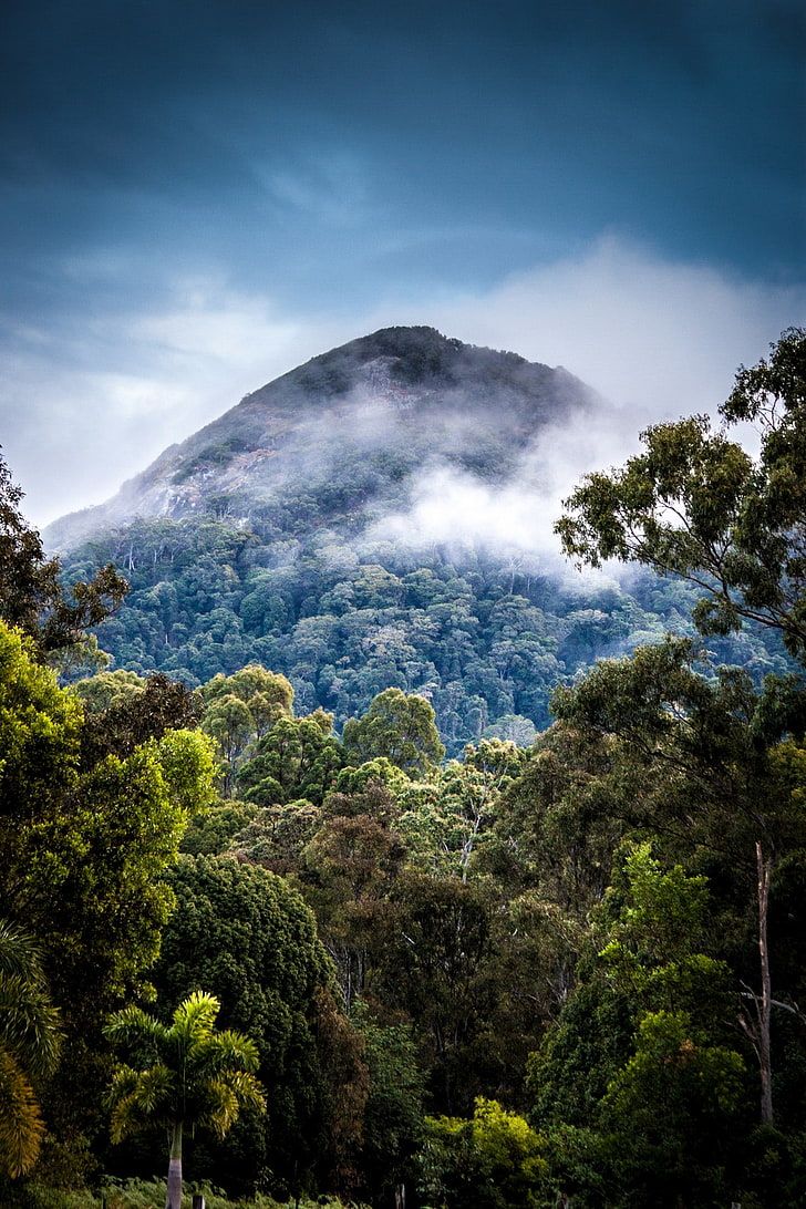 Tropical Mountains Wallpapers