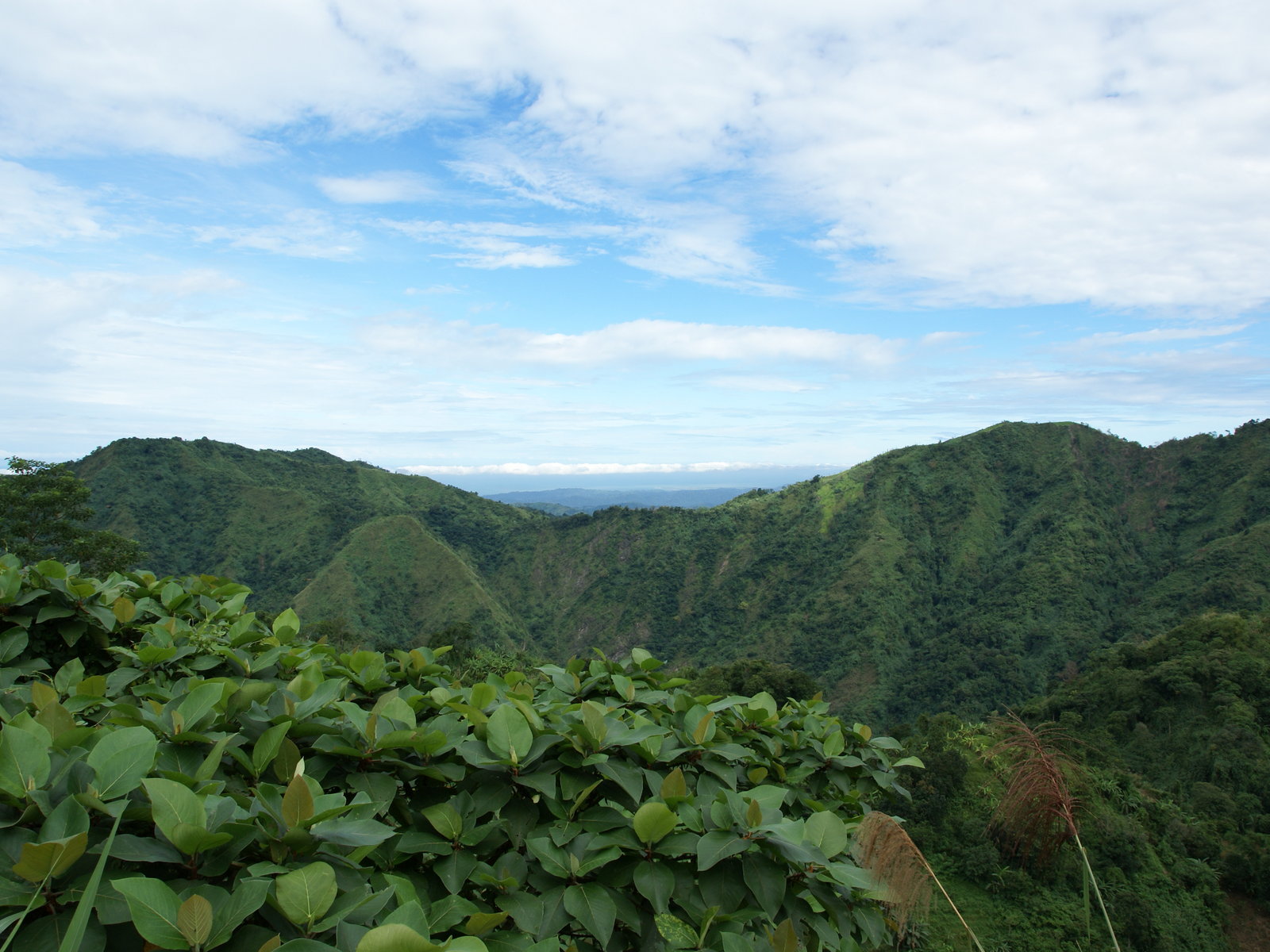 Tropical Mountains Wallpapers