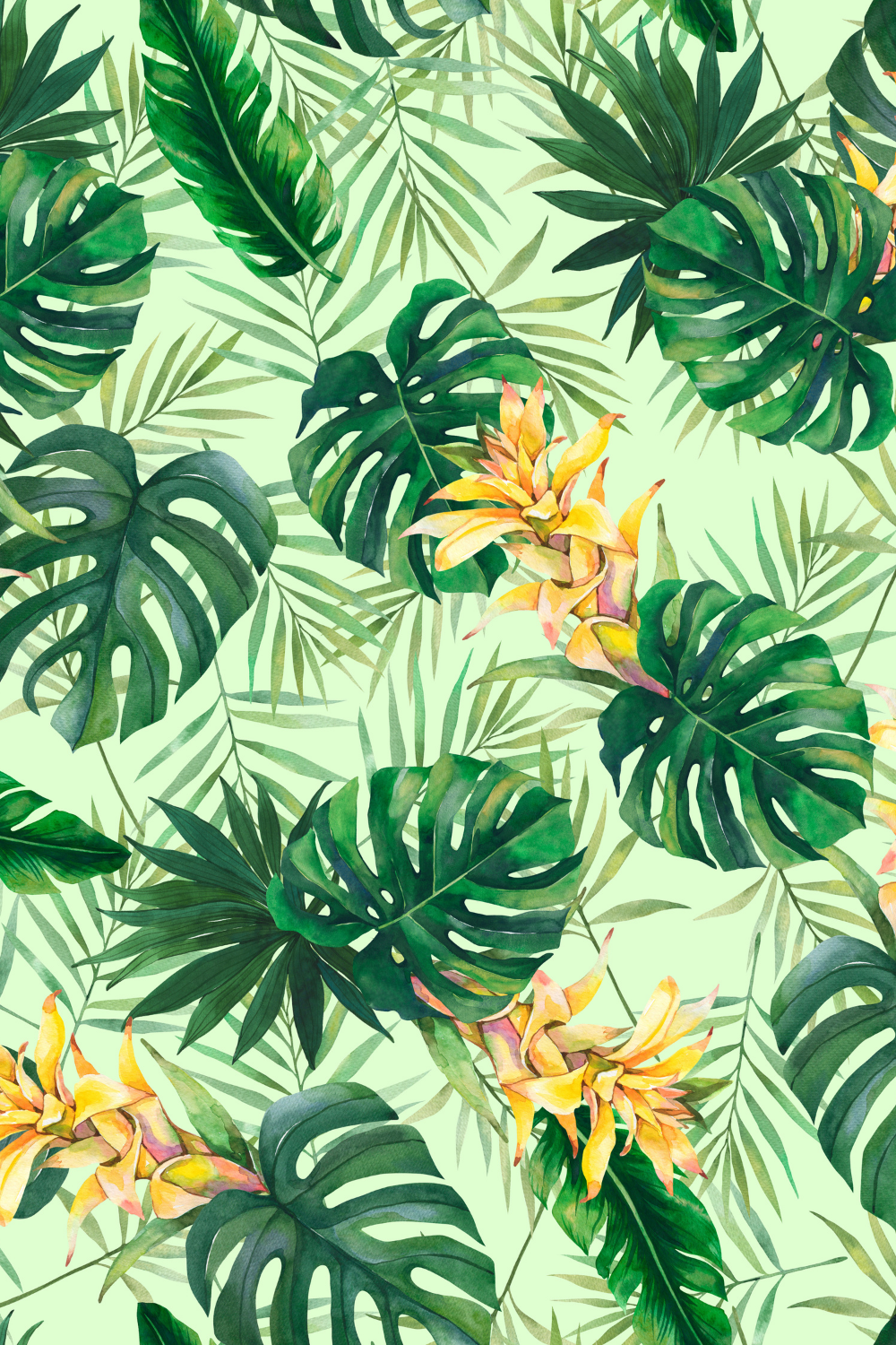 Tropical Patterns Wallpapers