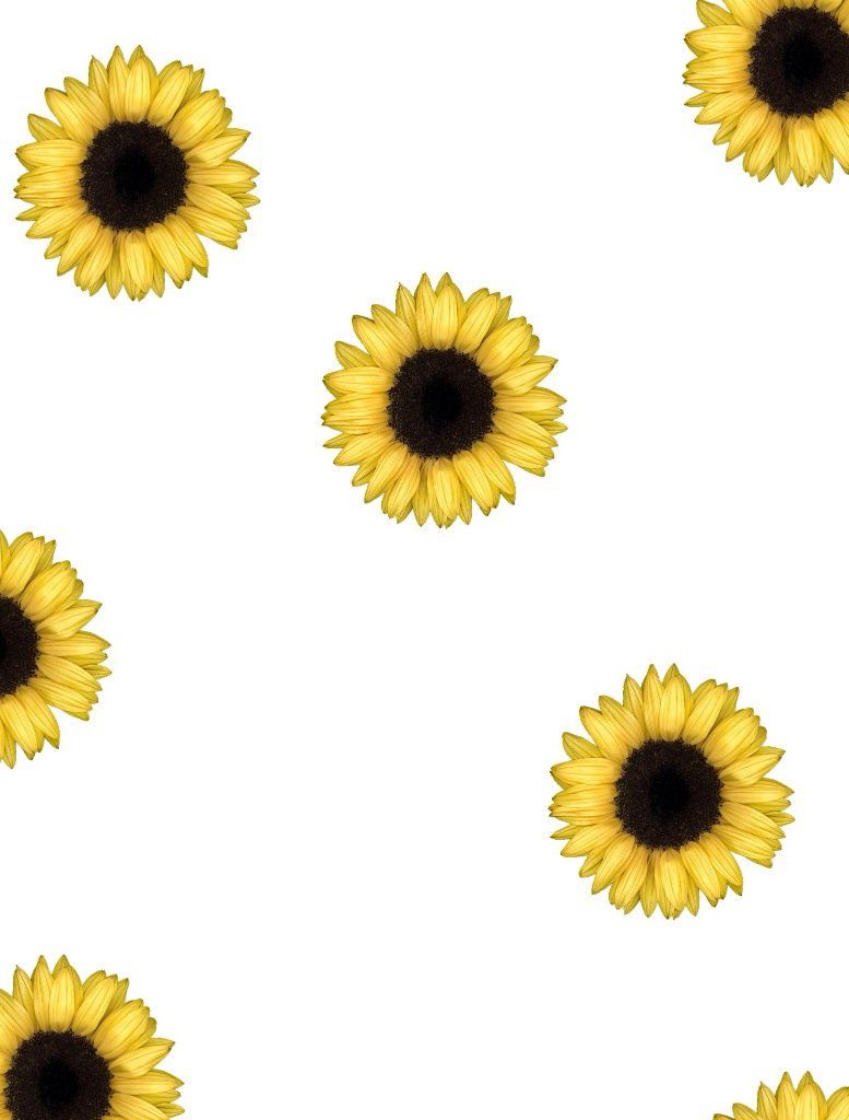 Tumblr Sunflower Wallpapers