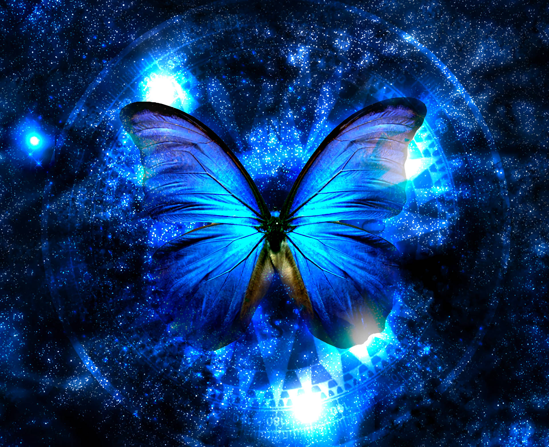 Turquoise Butterfly Wallpapers