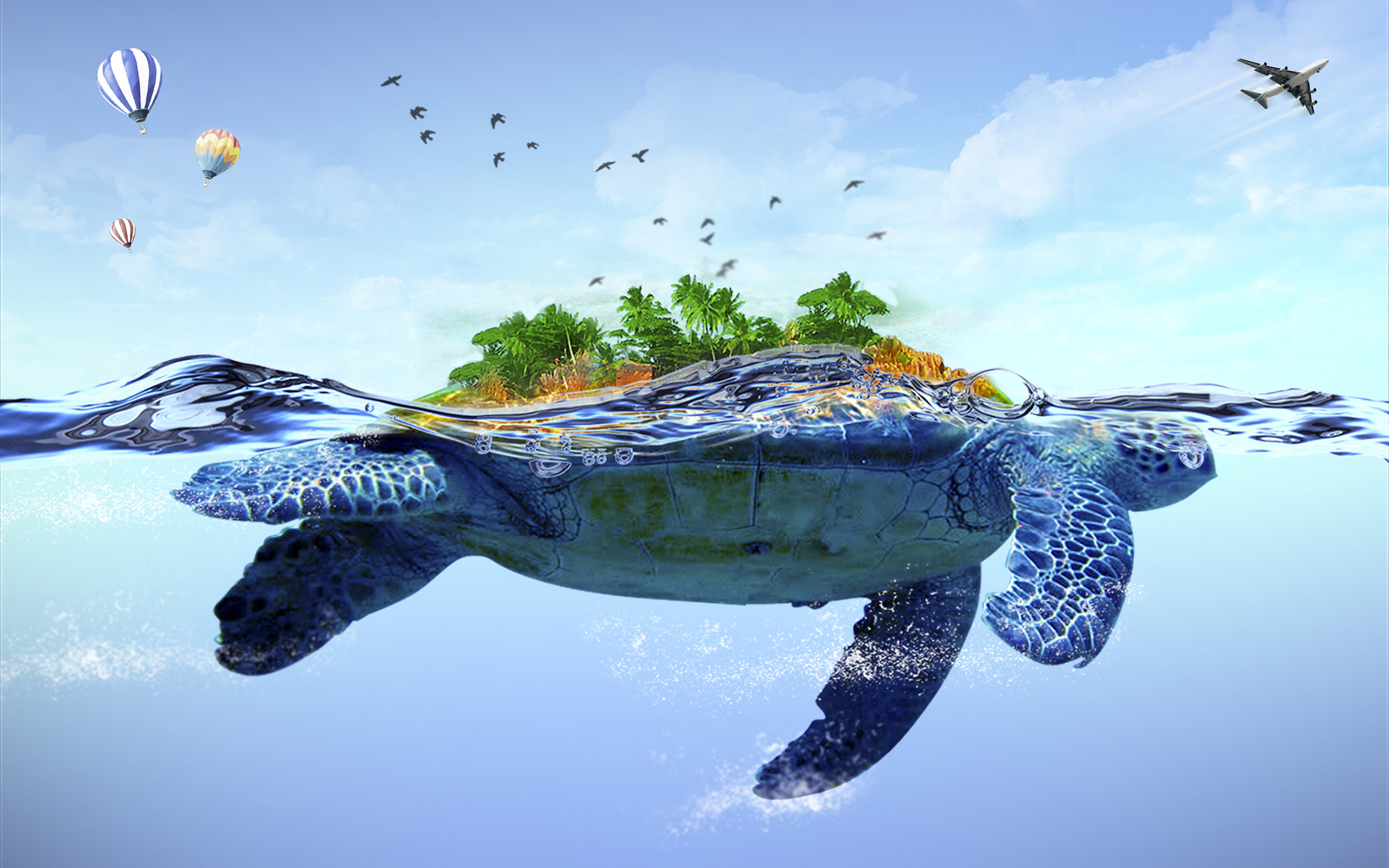 Turtle Art Wallpapers