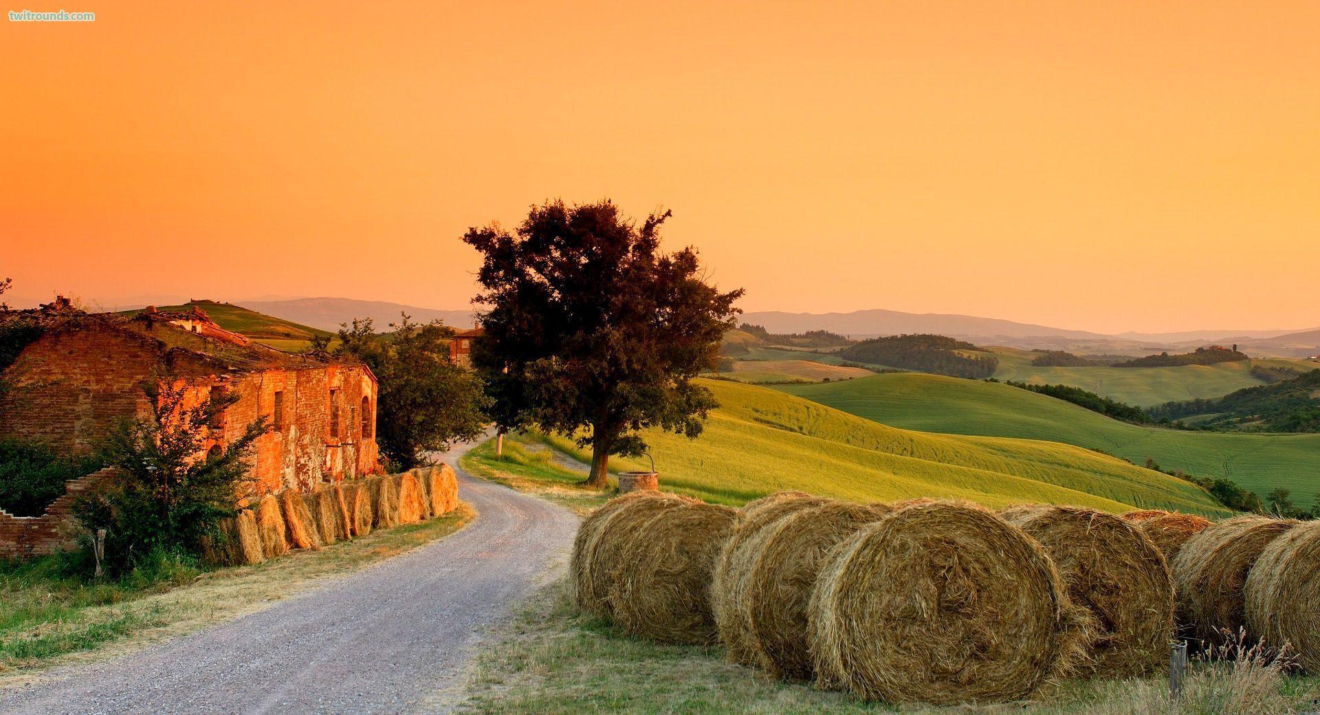 Tuscan Style Wallpapers