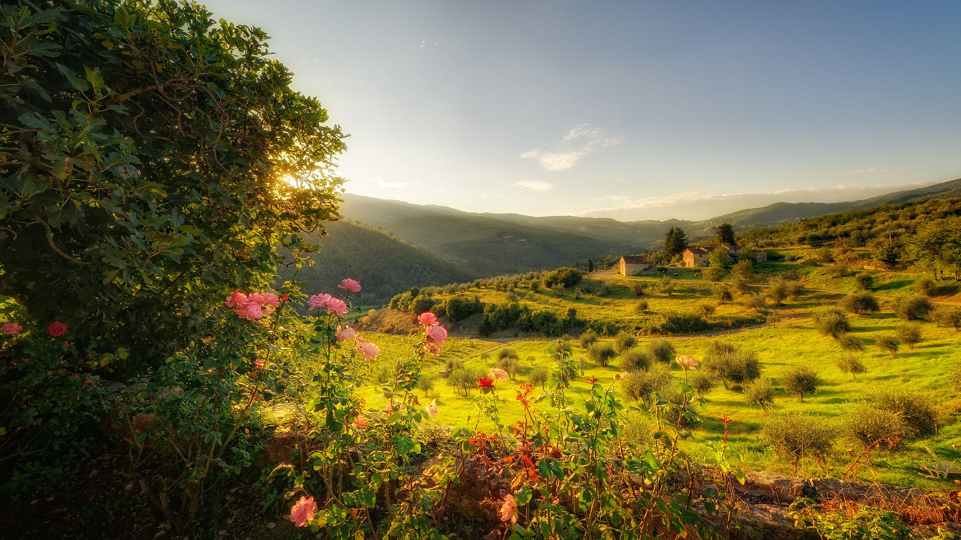 Tuscan Style Wallpapers