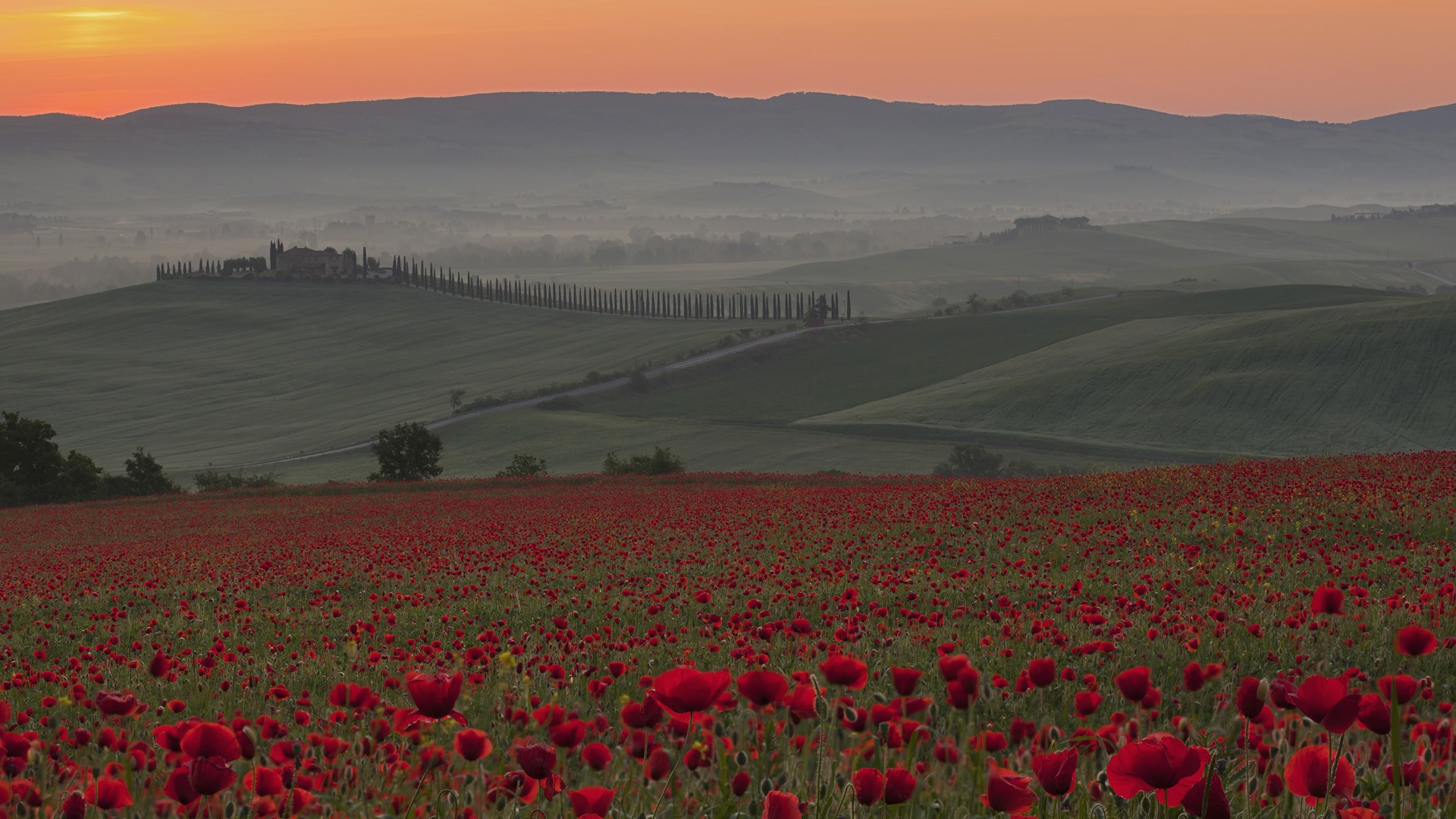 Tuscan Style Wallpapers