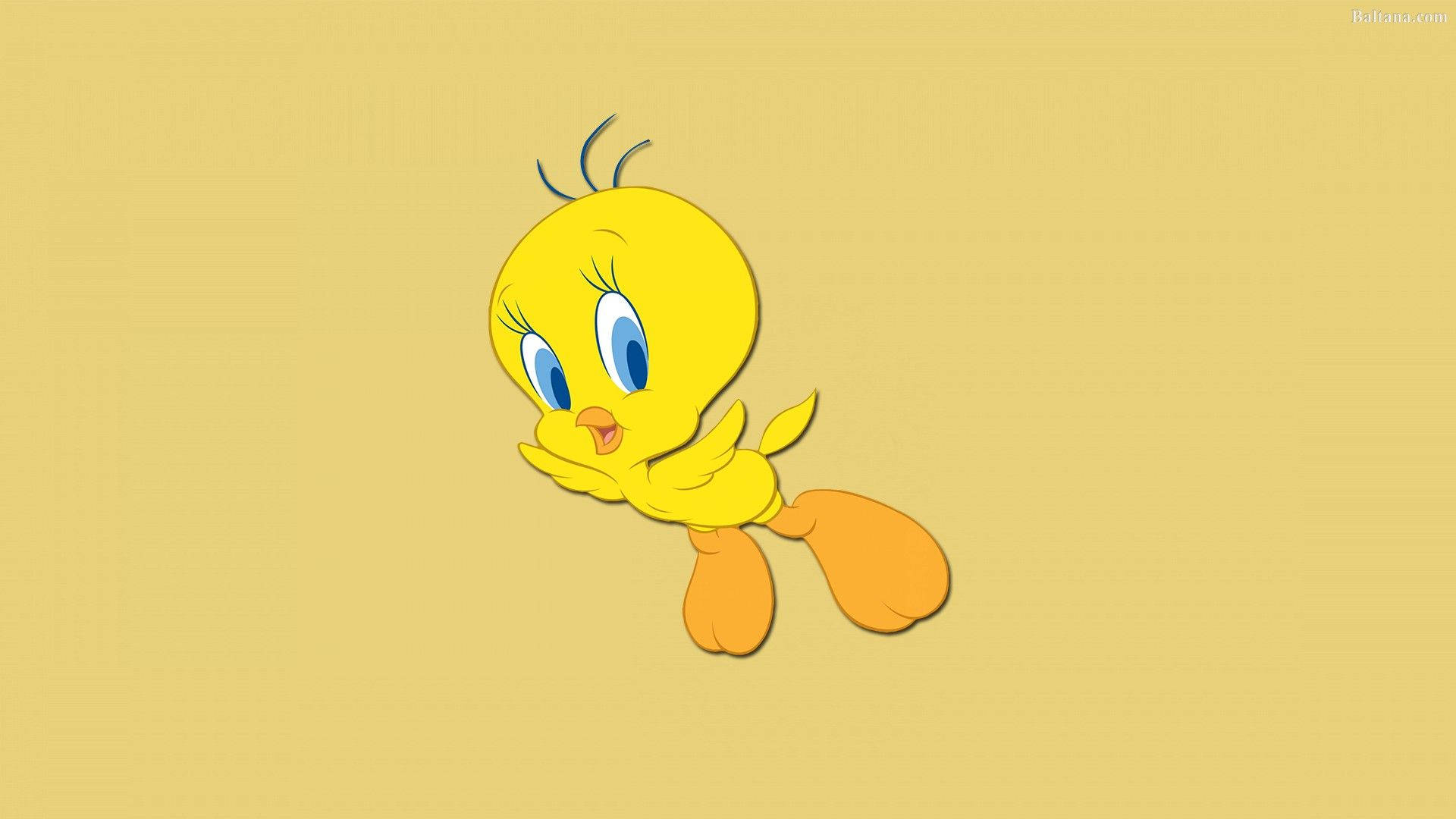 Tweety Wallpapers