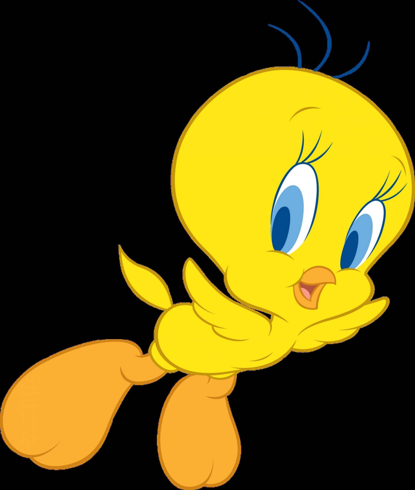 Tweety Wallpapers