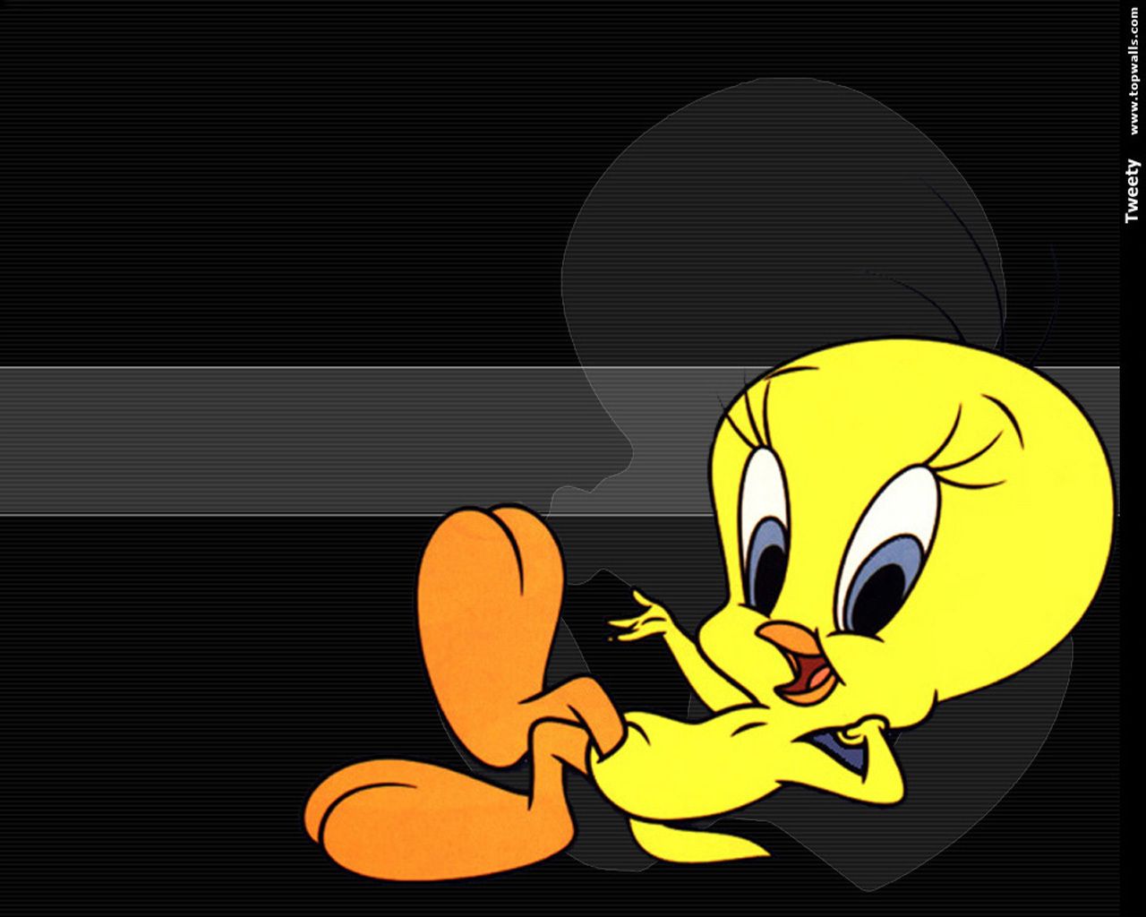 Tweety Wallpapers