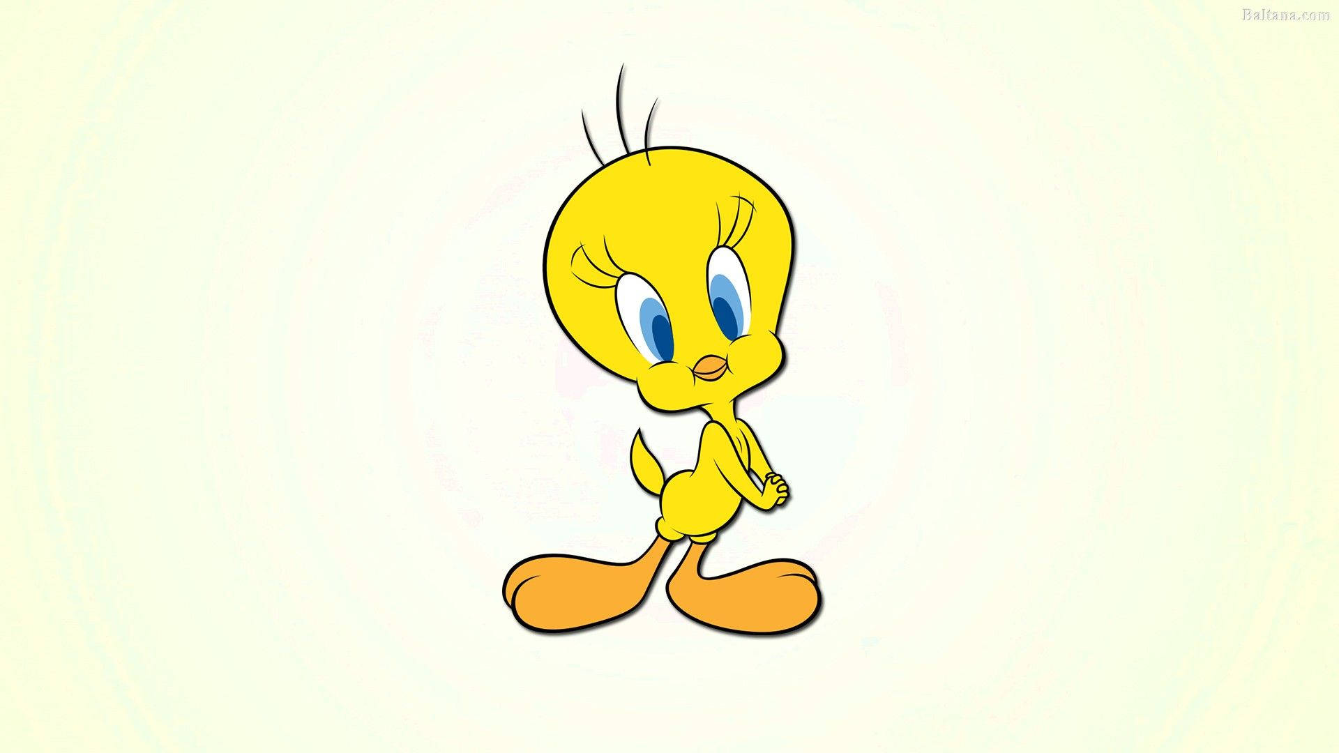 Tweety Wallpapers