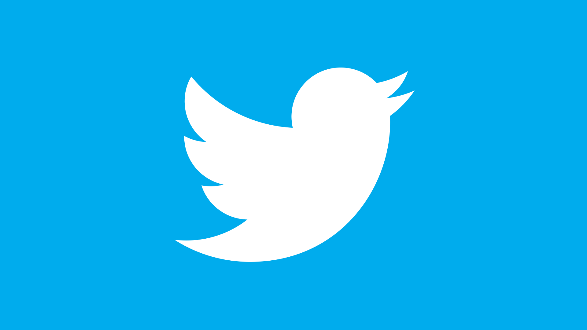 Twitter Logo Wallpapers