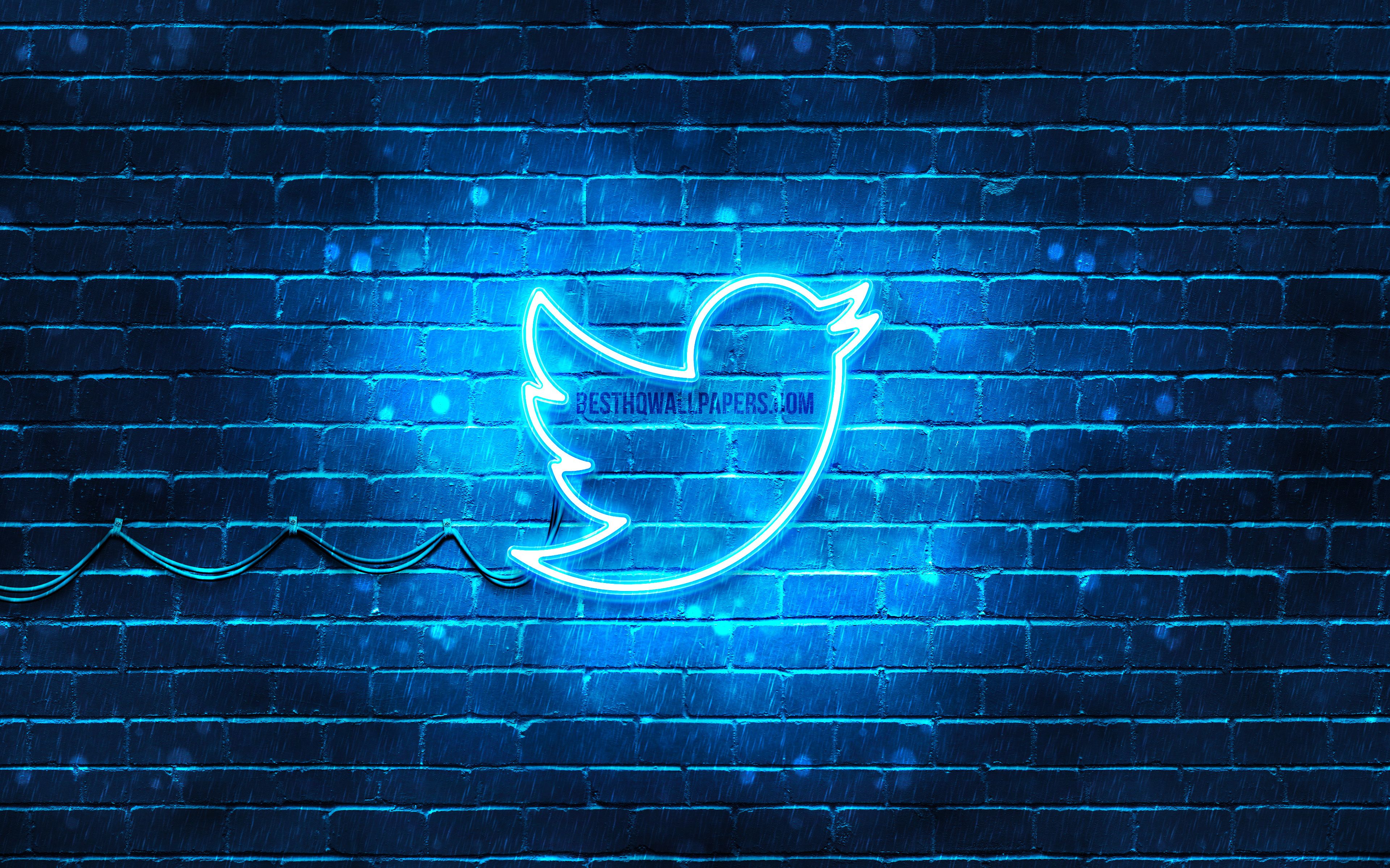 Twitter Logo Wallpapers