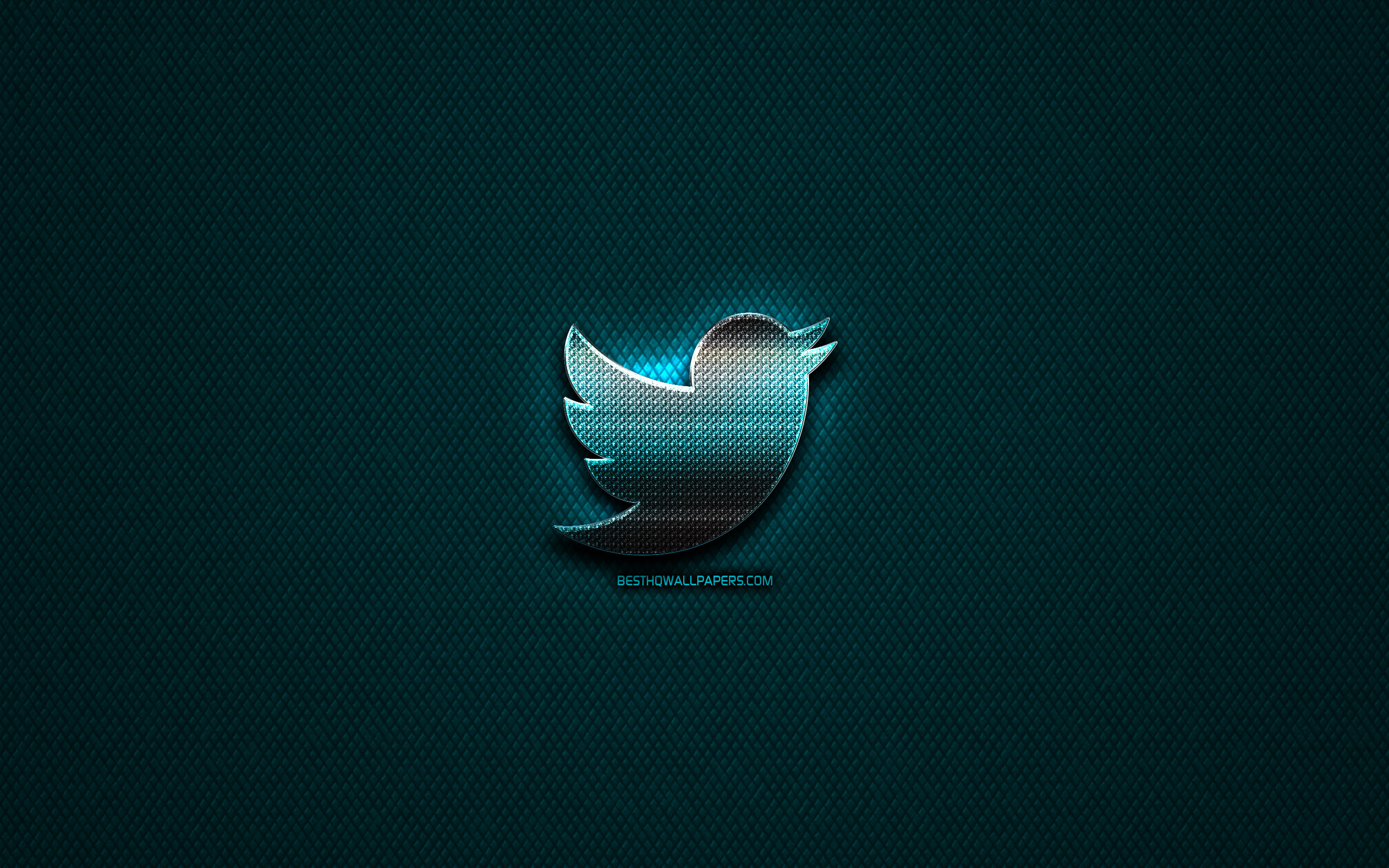 Twitter Logo Wallpapers