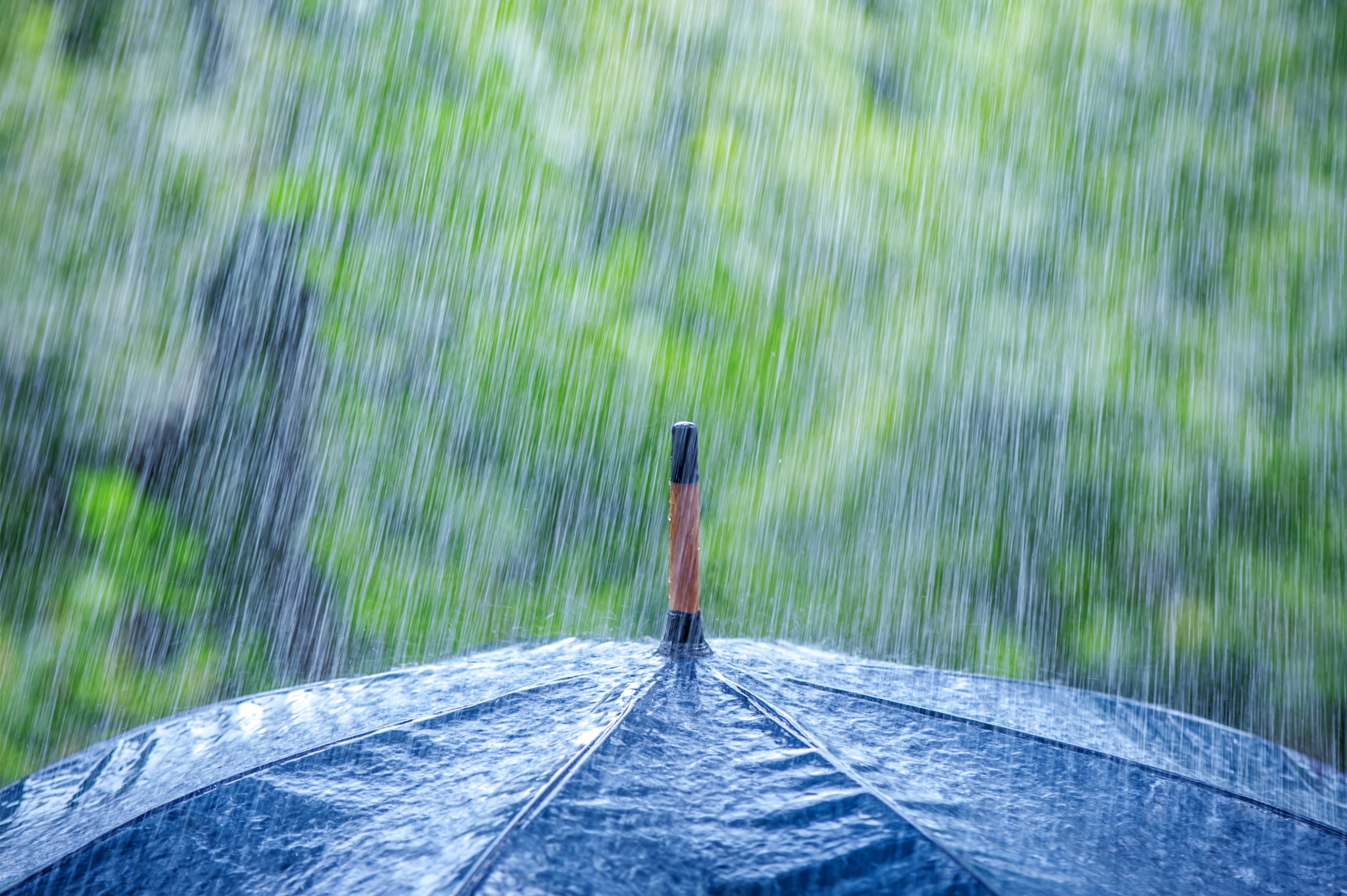 Ultra Hd Rain Wallpapers