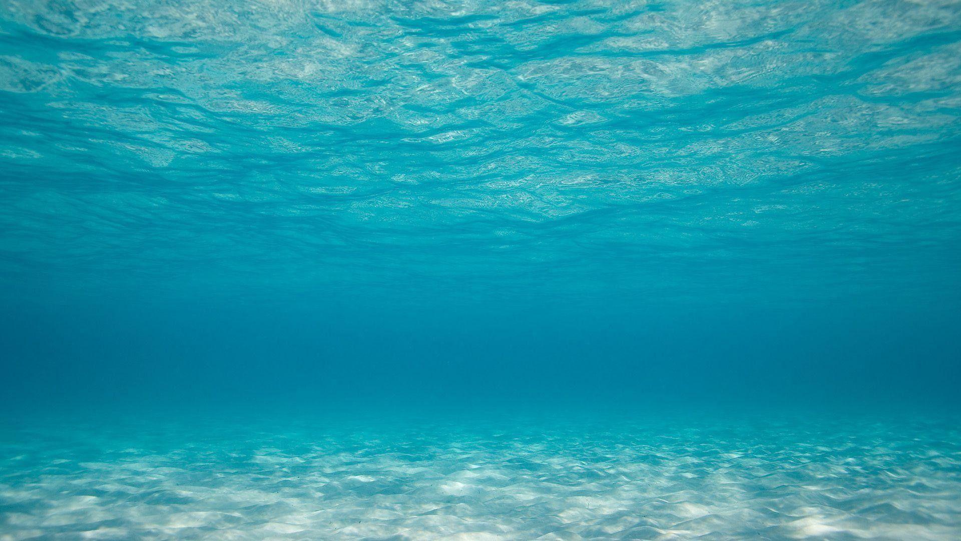 Underwater Aesthetic Wallpapers