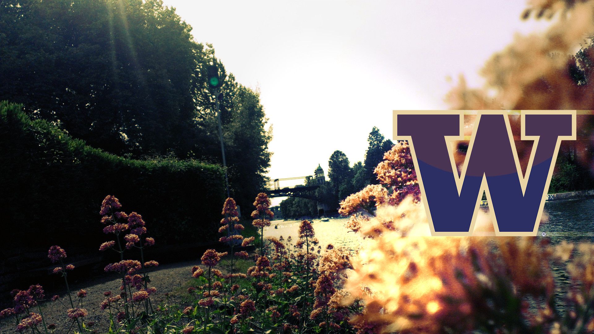 University Of Washington Wallpapers