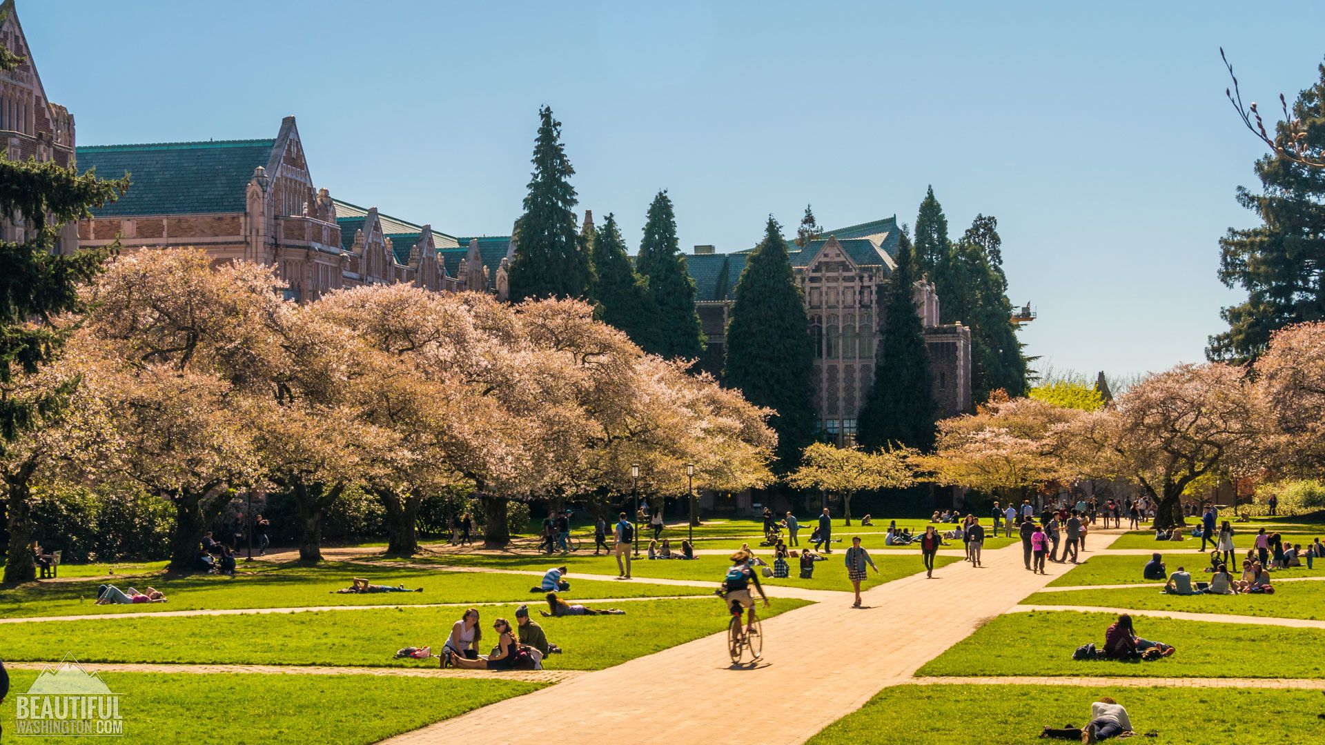 University Of Washington Wallpapers