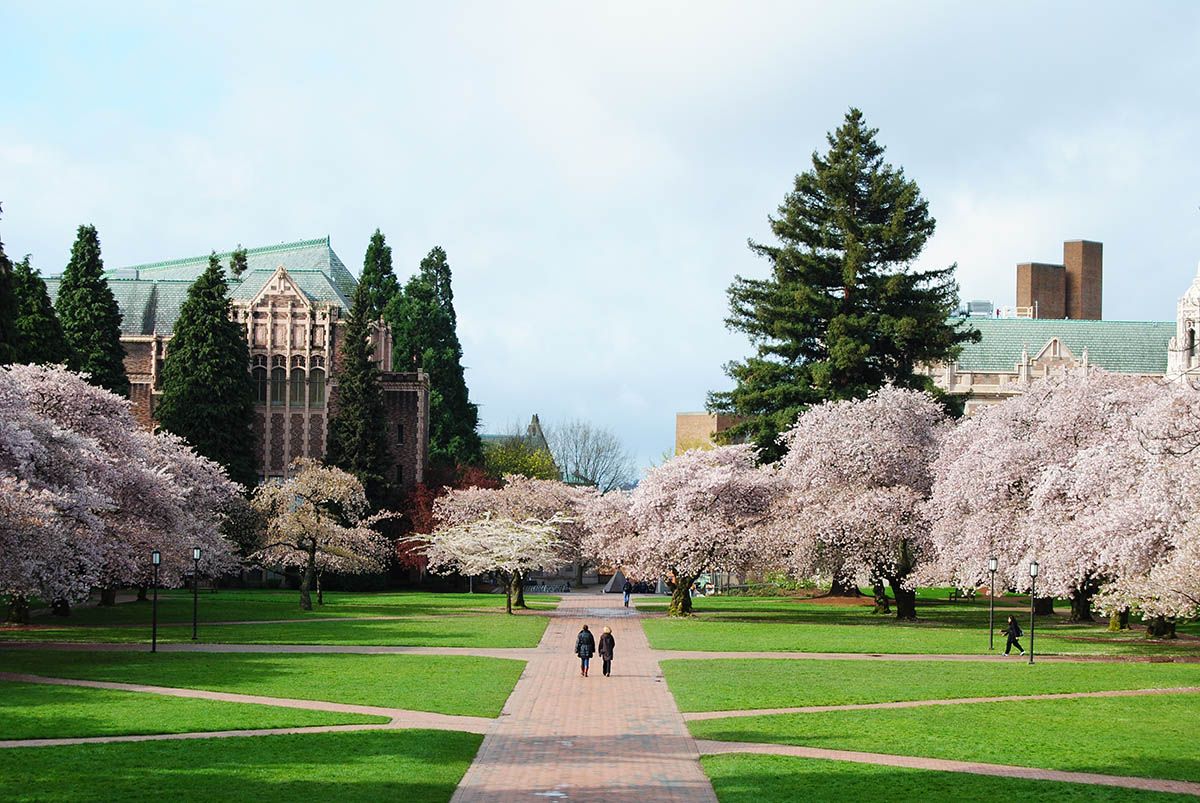 University Of Washington Wallpapers