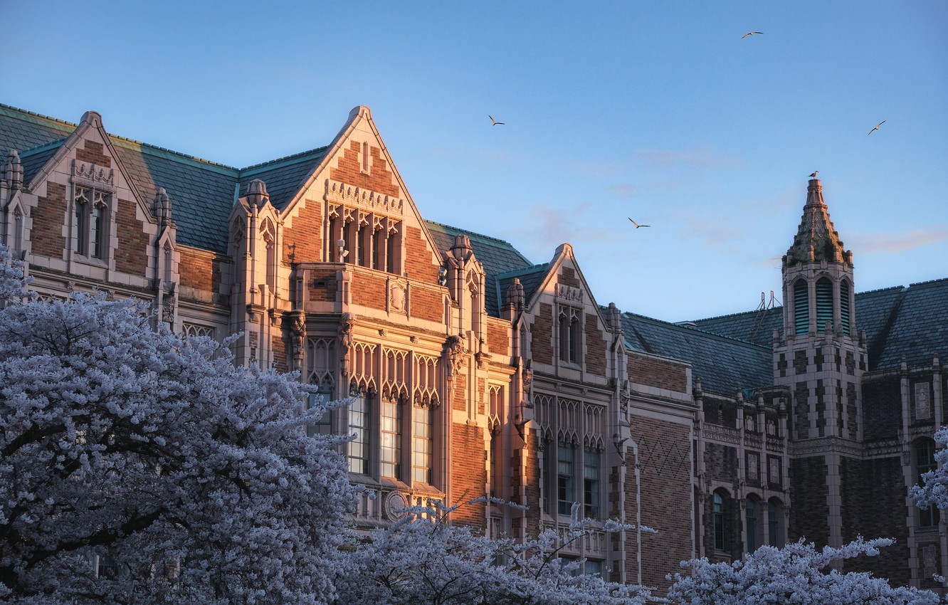 University Of Washington Wallpapers