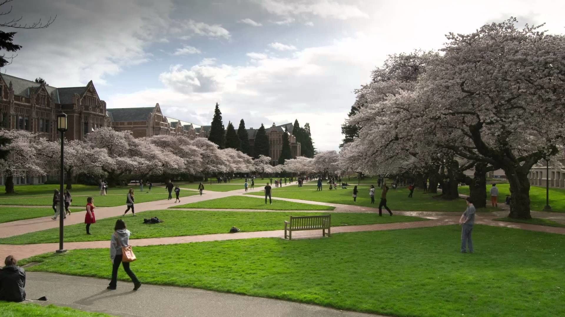 University Of Washington Wallpapers