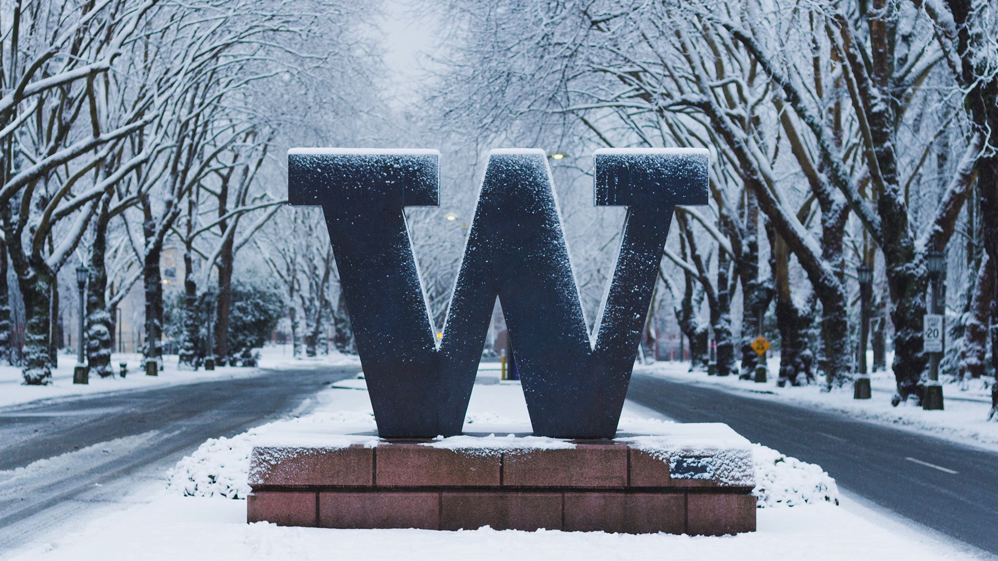 University Of Washington Wallpapers