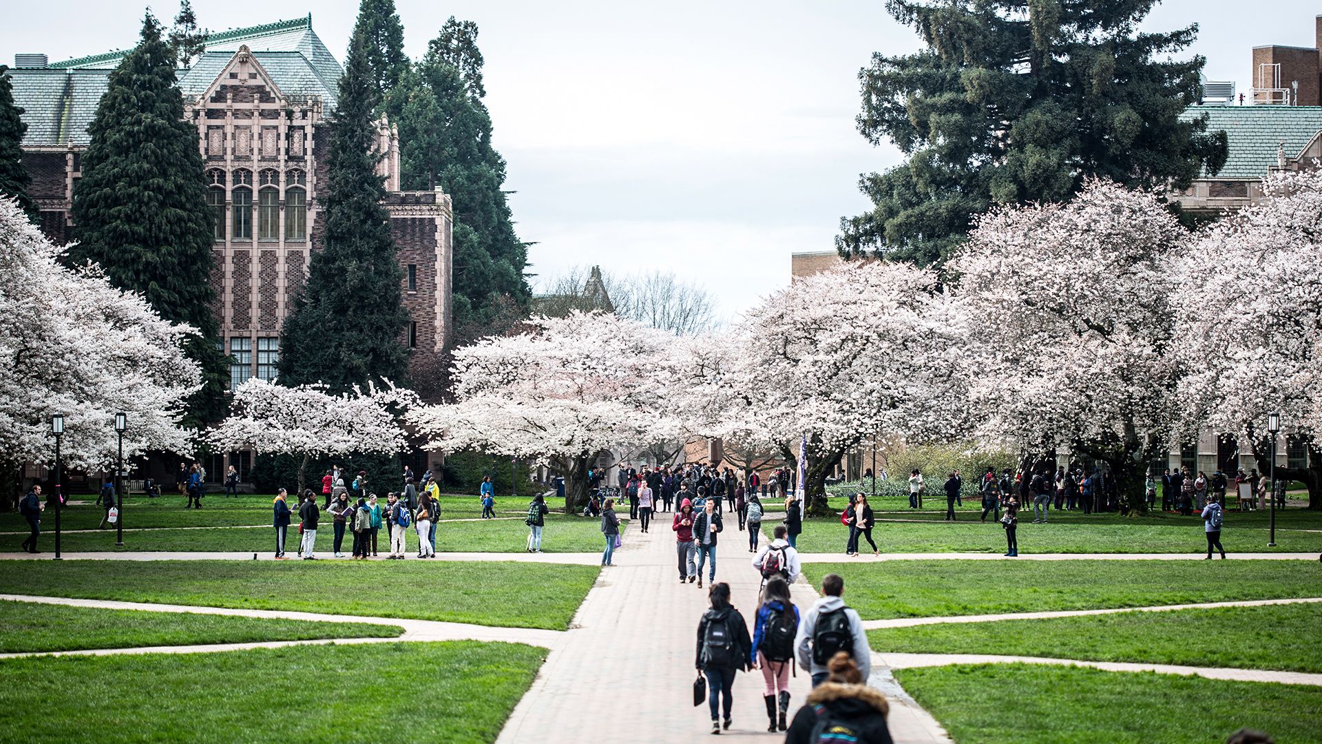 University Of Washington Wallpapers