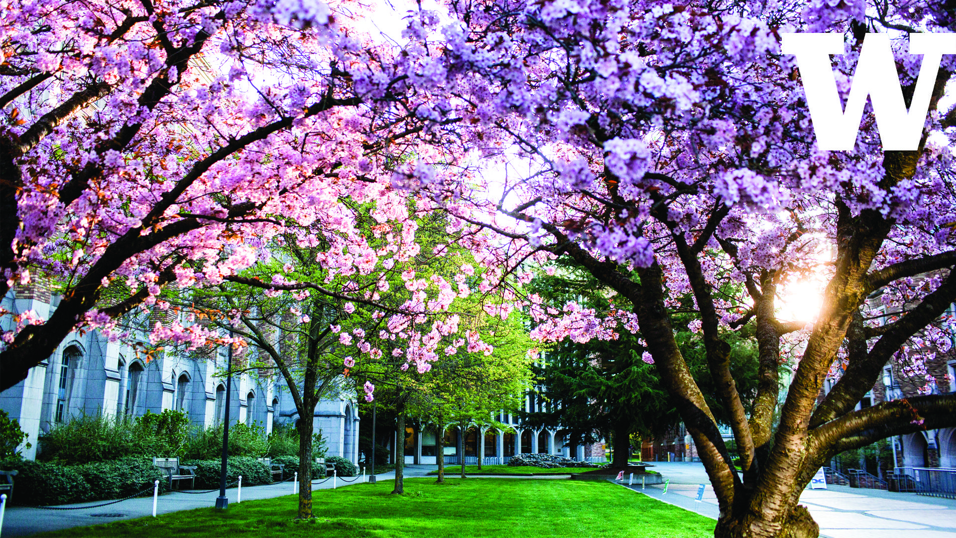 University Of Washington Wallpapers