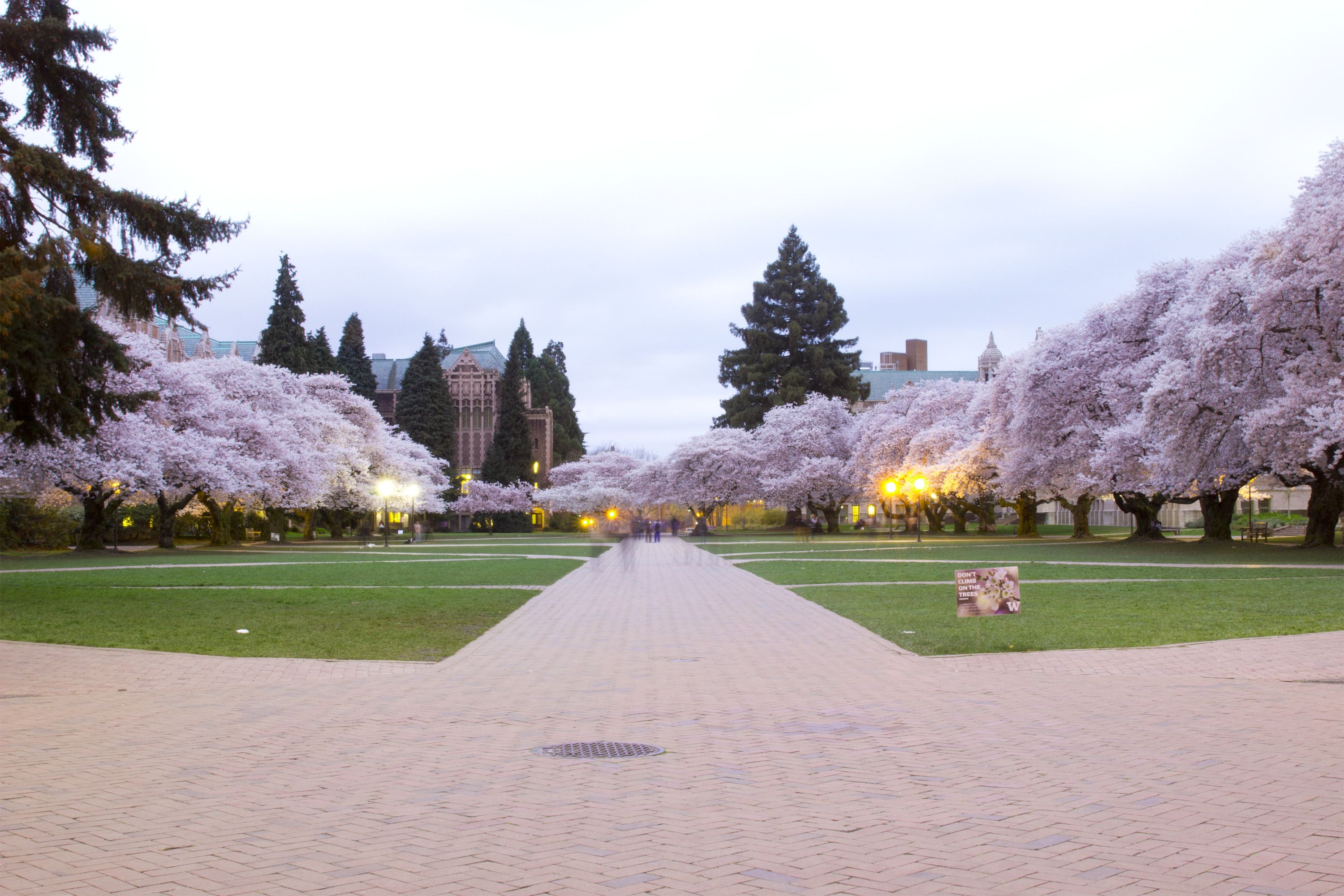 University Of Washington Wallpapers