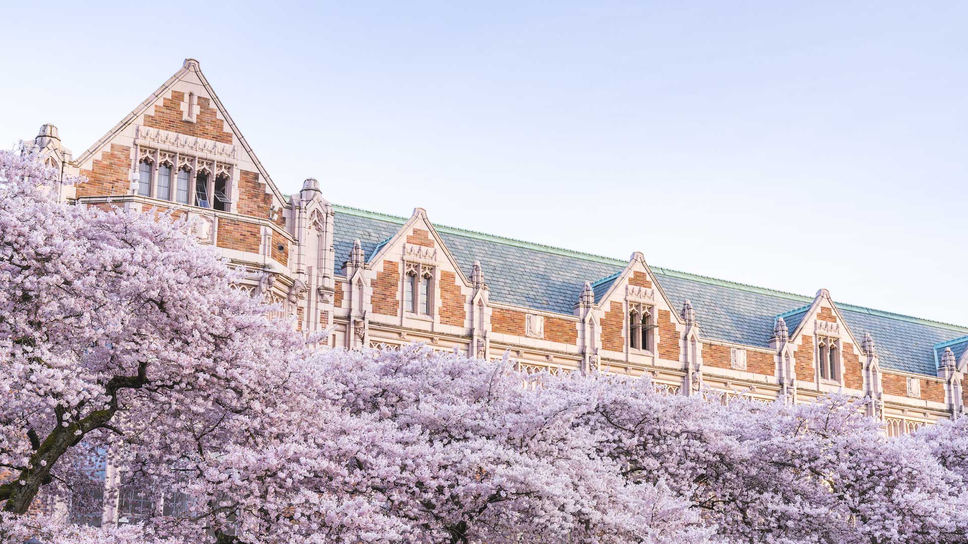 University Of Washington Wallpapers