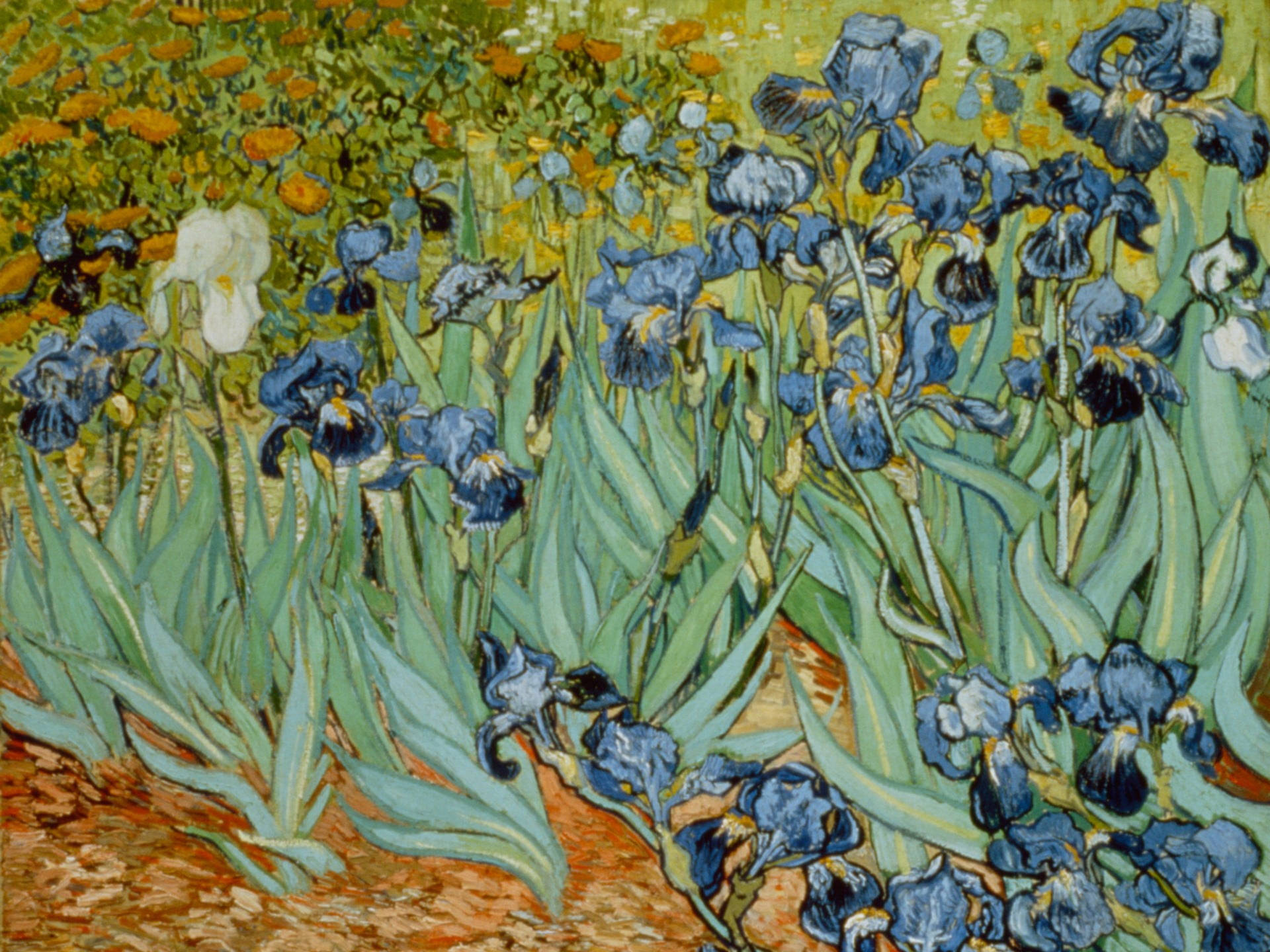 Van Gogh Wallpapers