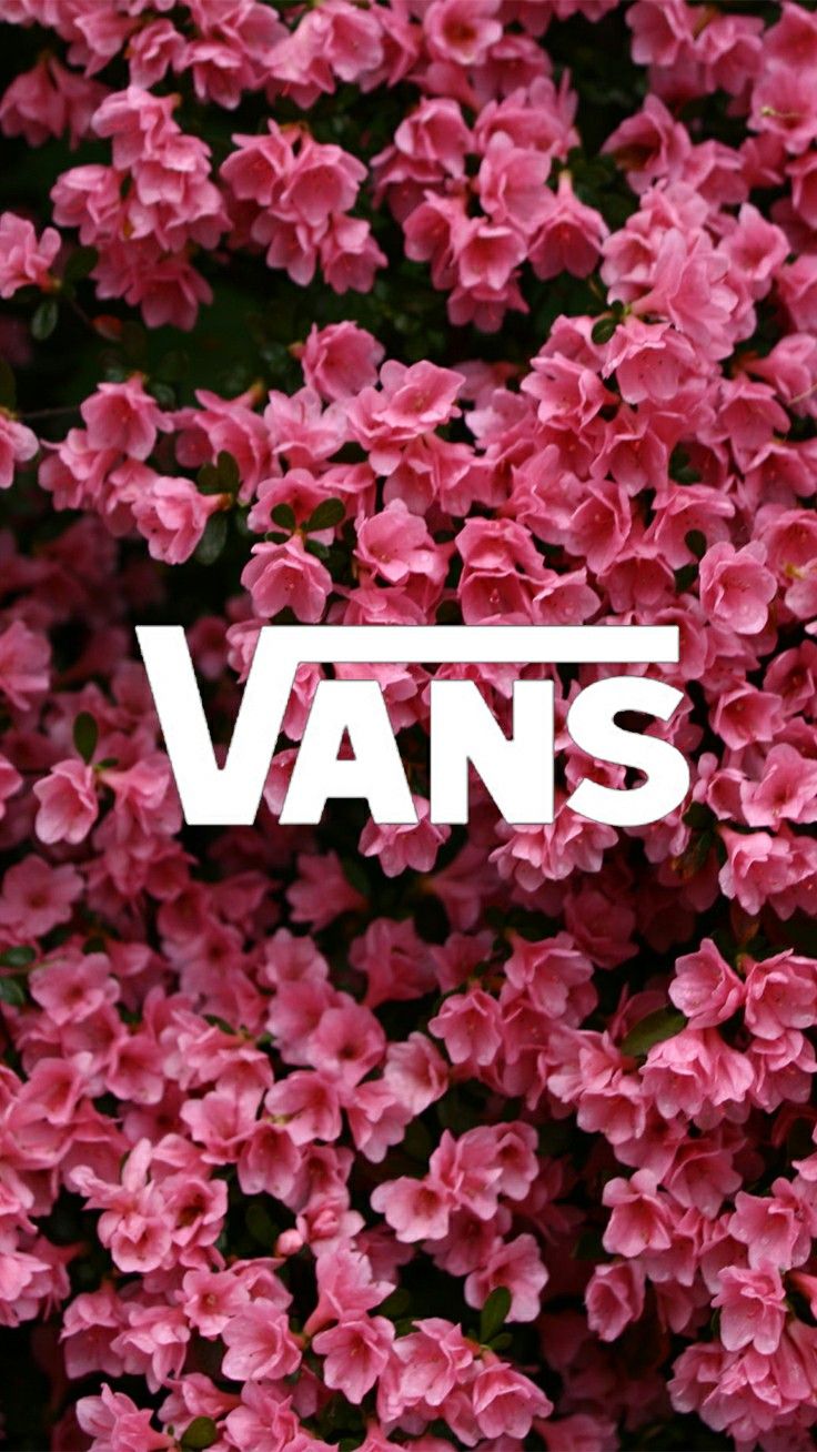 Vans Rose Logo Wallpapers