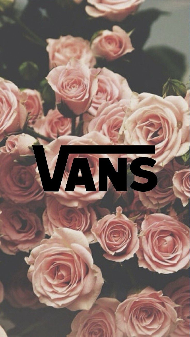 Vans Rose Logo Wallpapers