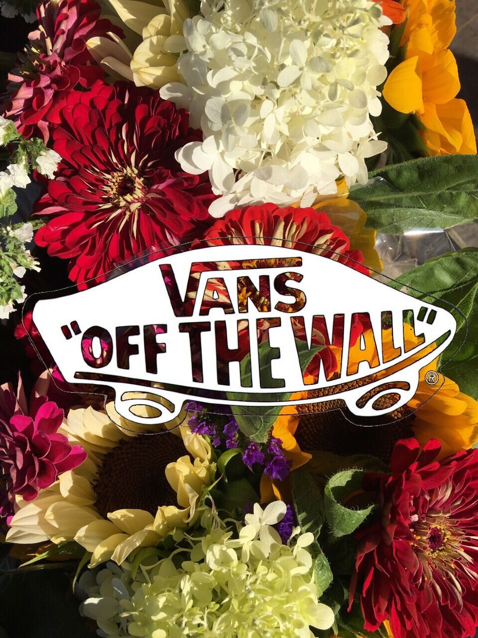 Vans Rose Logo Wallpapers