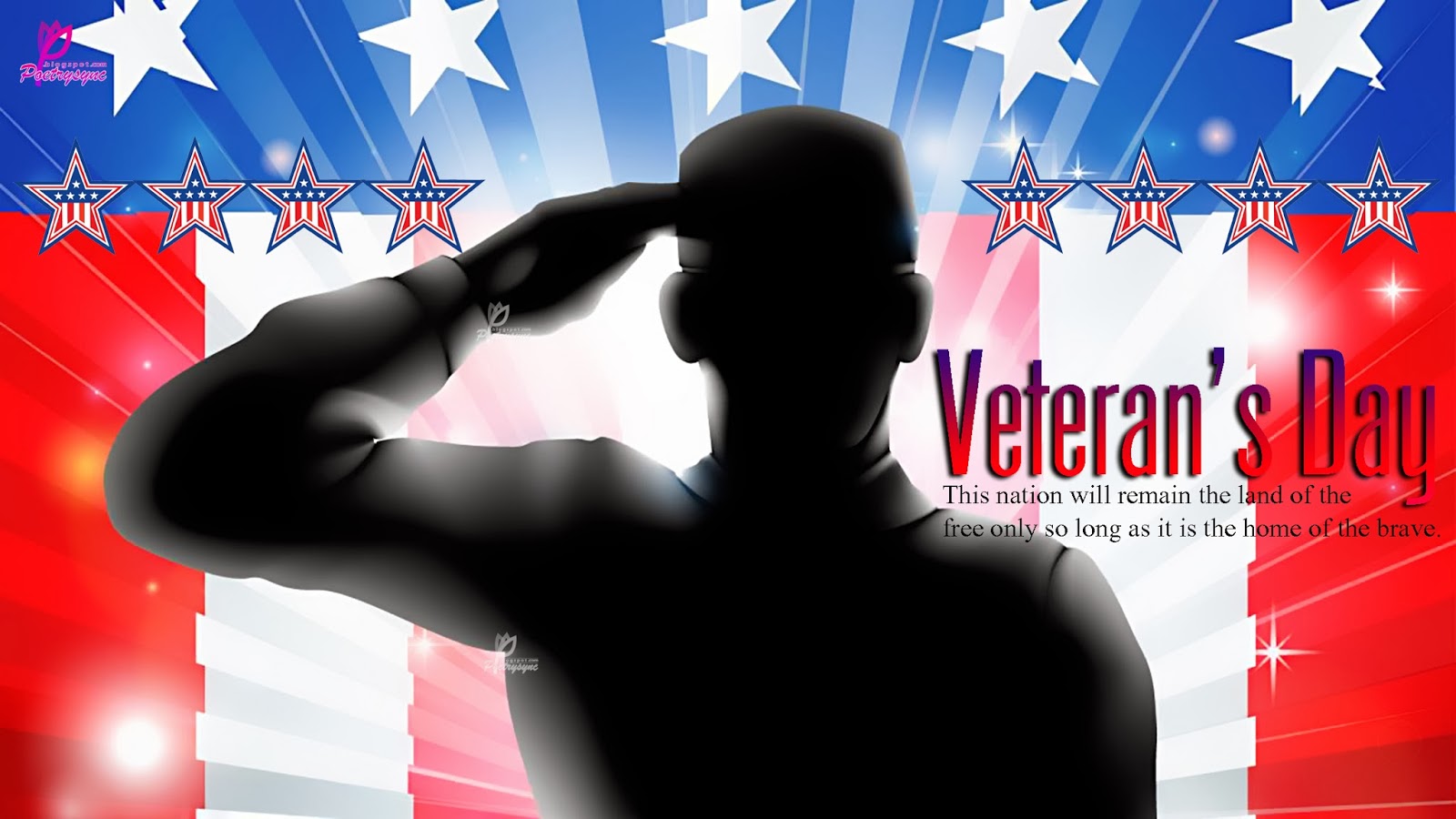 Veterans Day 2015 Wallpapers