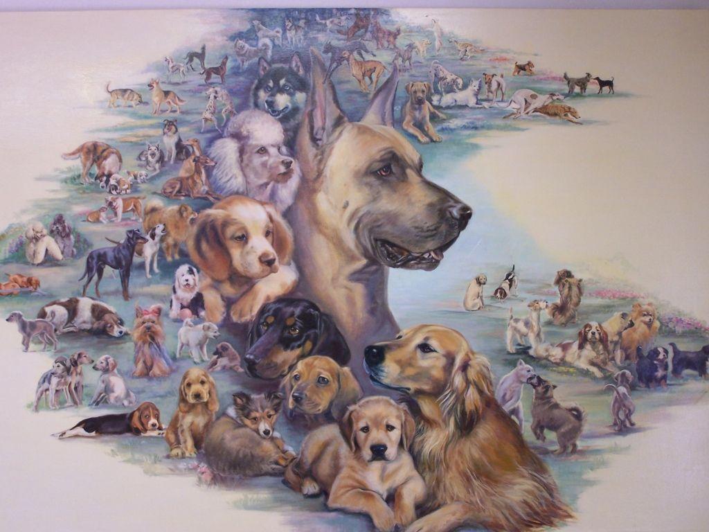 Veterinary Wallpapers