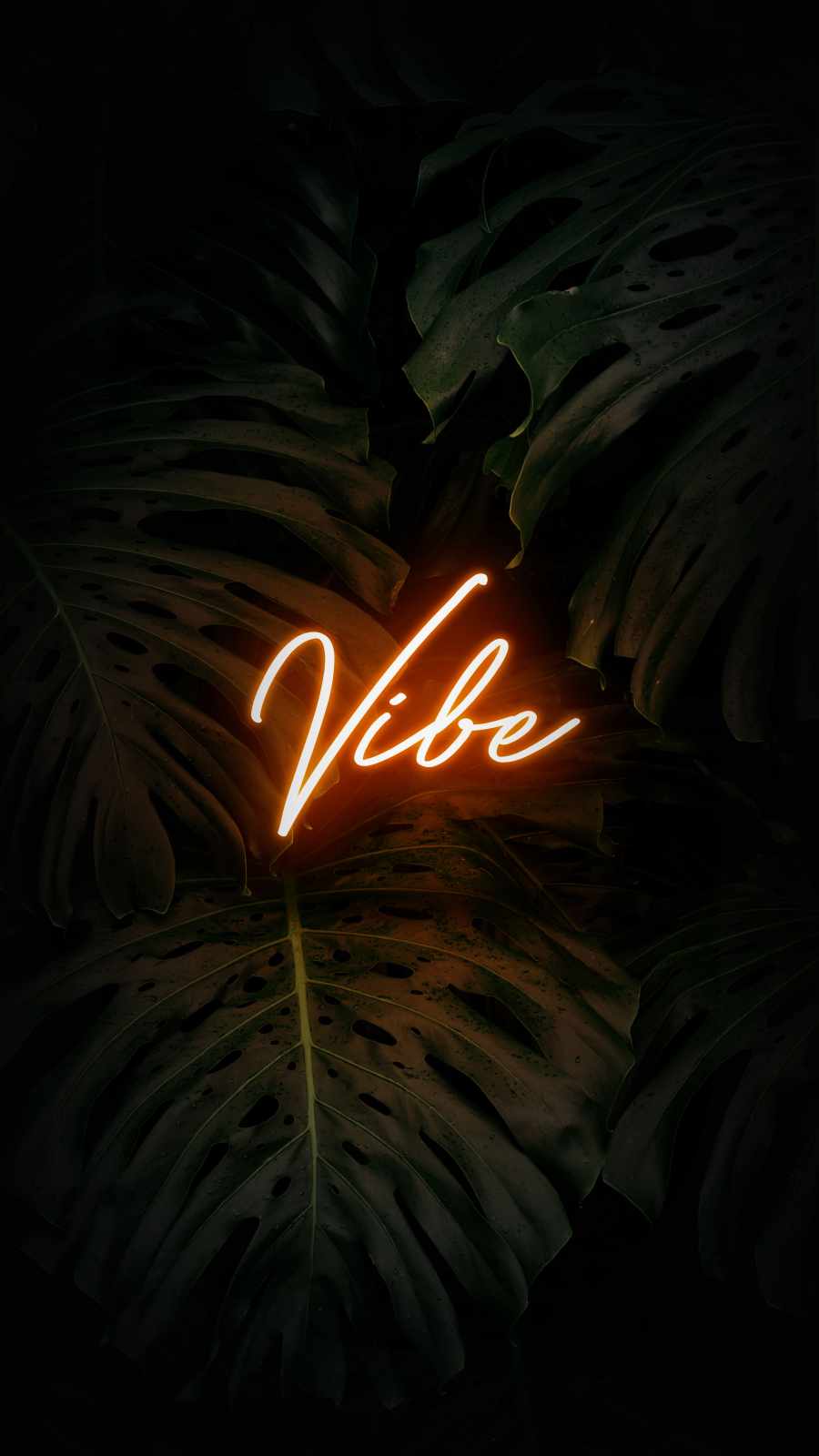 Vibe Wallpapers