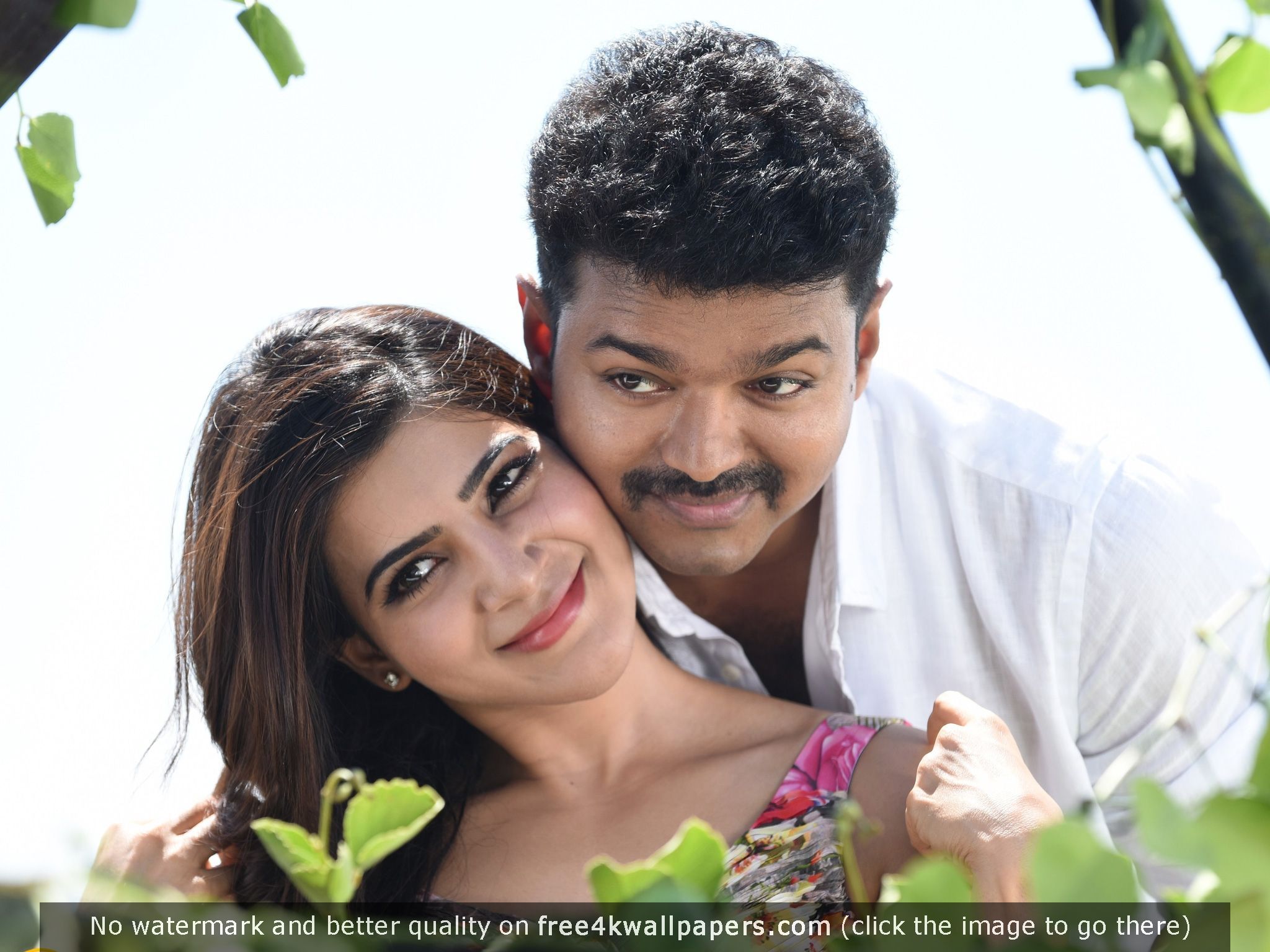 Vijay And Samantha Wallpapers