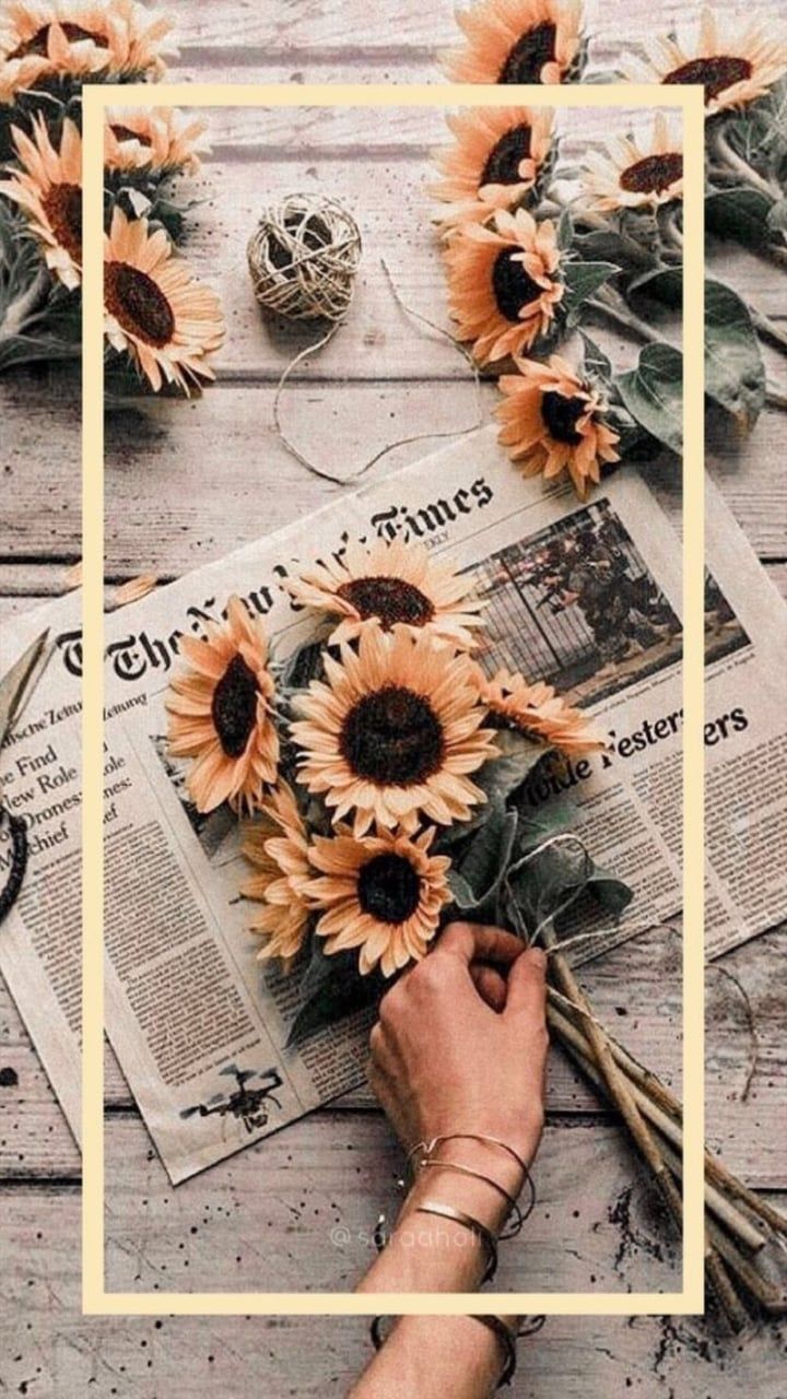 Vintage Aesthetic Sunflowers Wallpapers