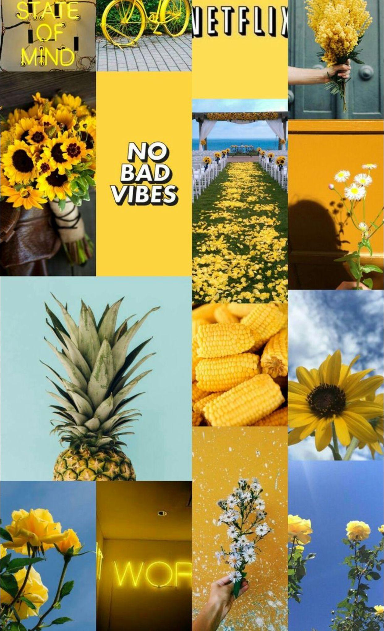 Vintage Aesthetic Sunflowers Wallpapers