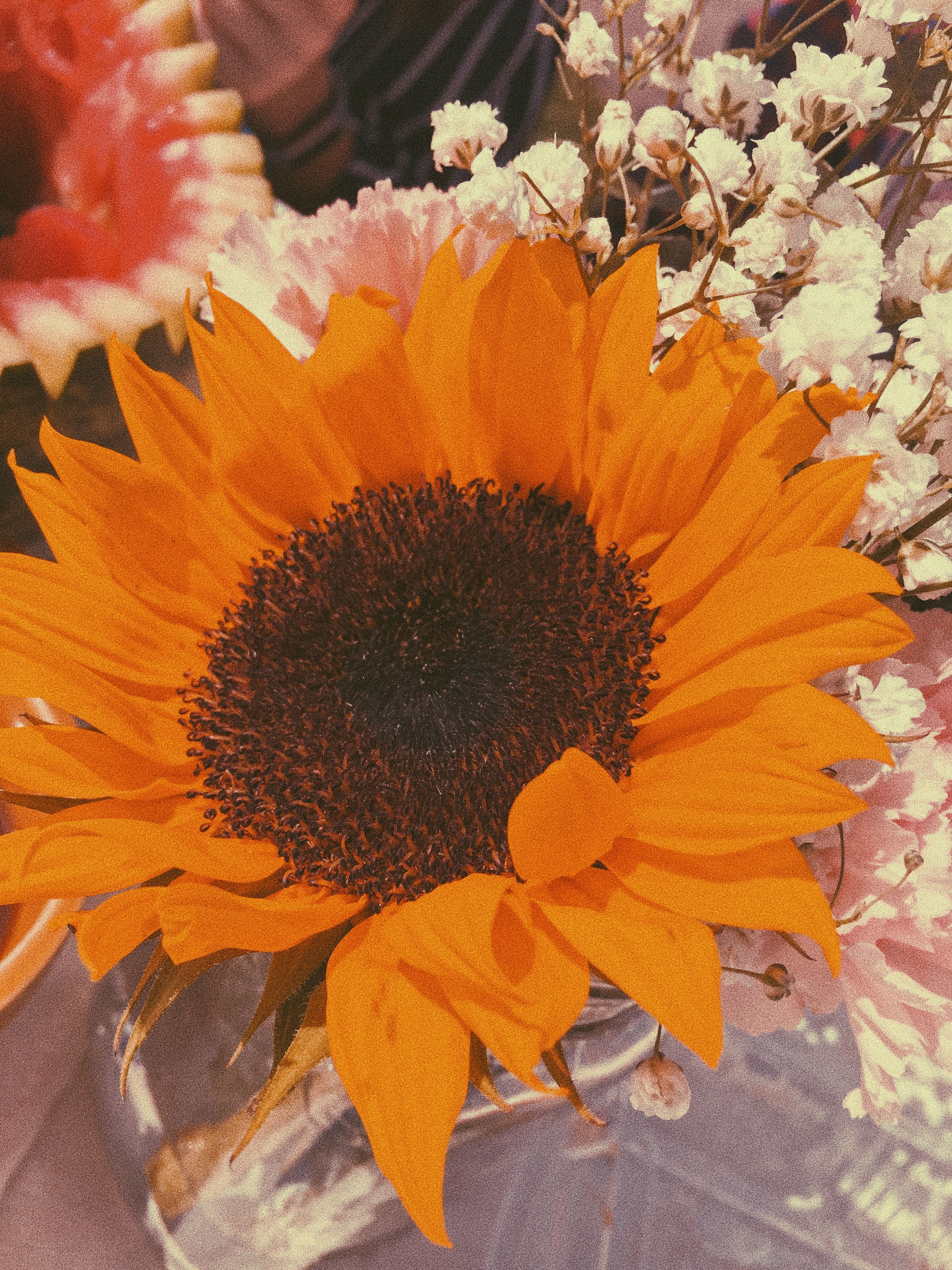 Vintage Aesthetic Sunflowers Wallpapers