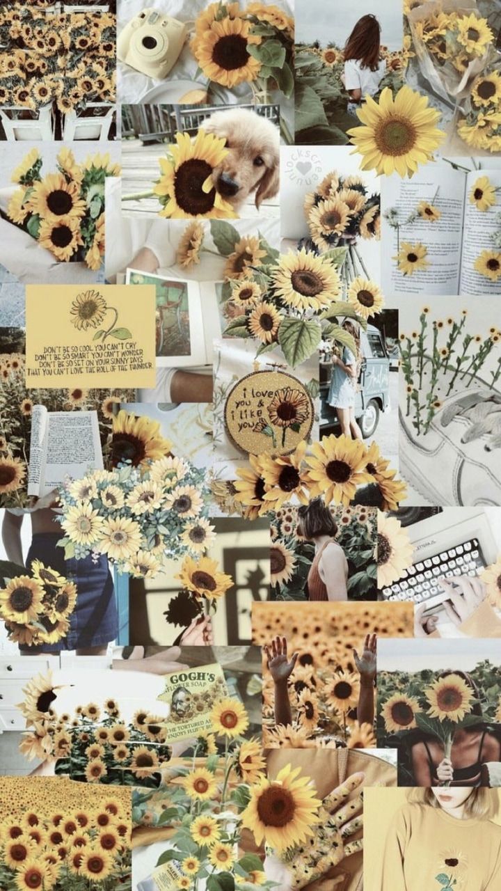 Vintage Aesthetic Sunflowers Wallpapers