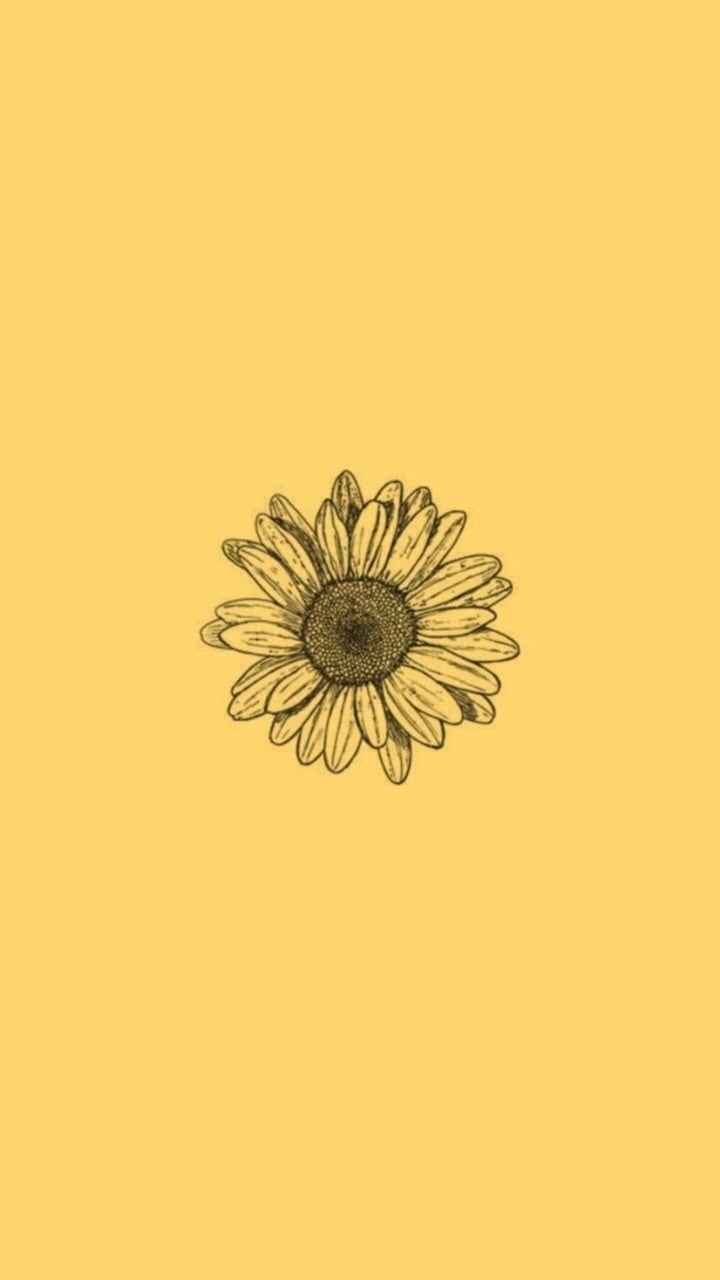 Vintage Aesthetic Sunflowers Wallpapers